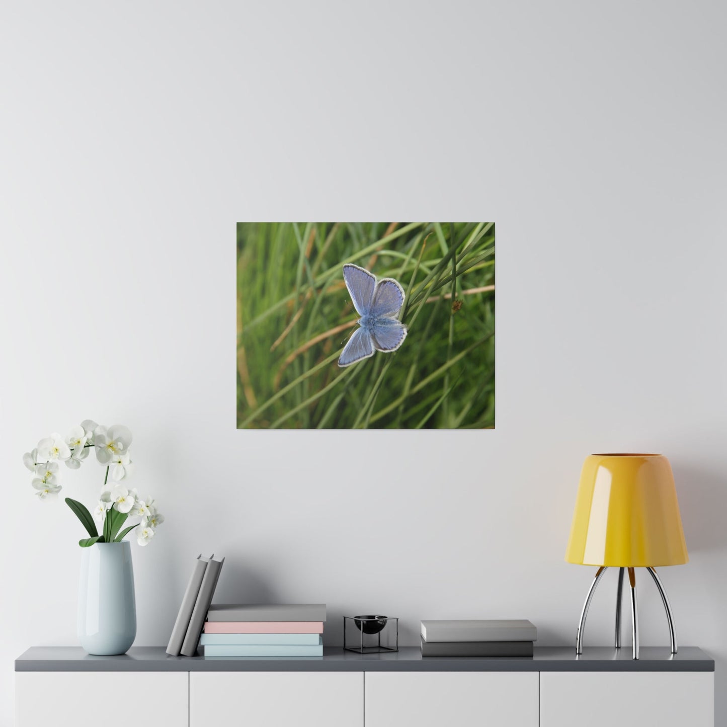 Common Blue Butterfly, Matte Canvas, Stretched, 0.75" - The Trio Synergize Group