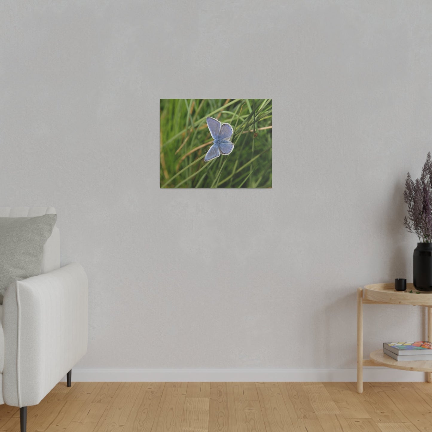 Common Blue Butterfly, Matte Canvas, Stretched, 0.75" - The Trio Synergize Group