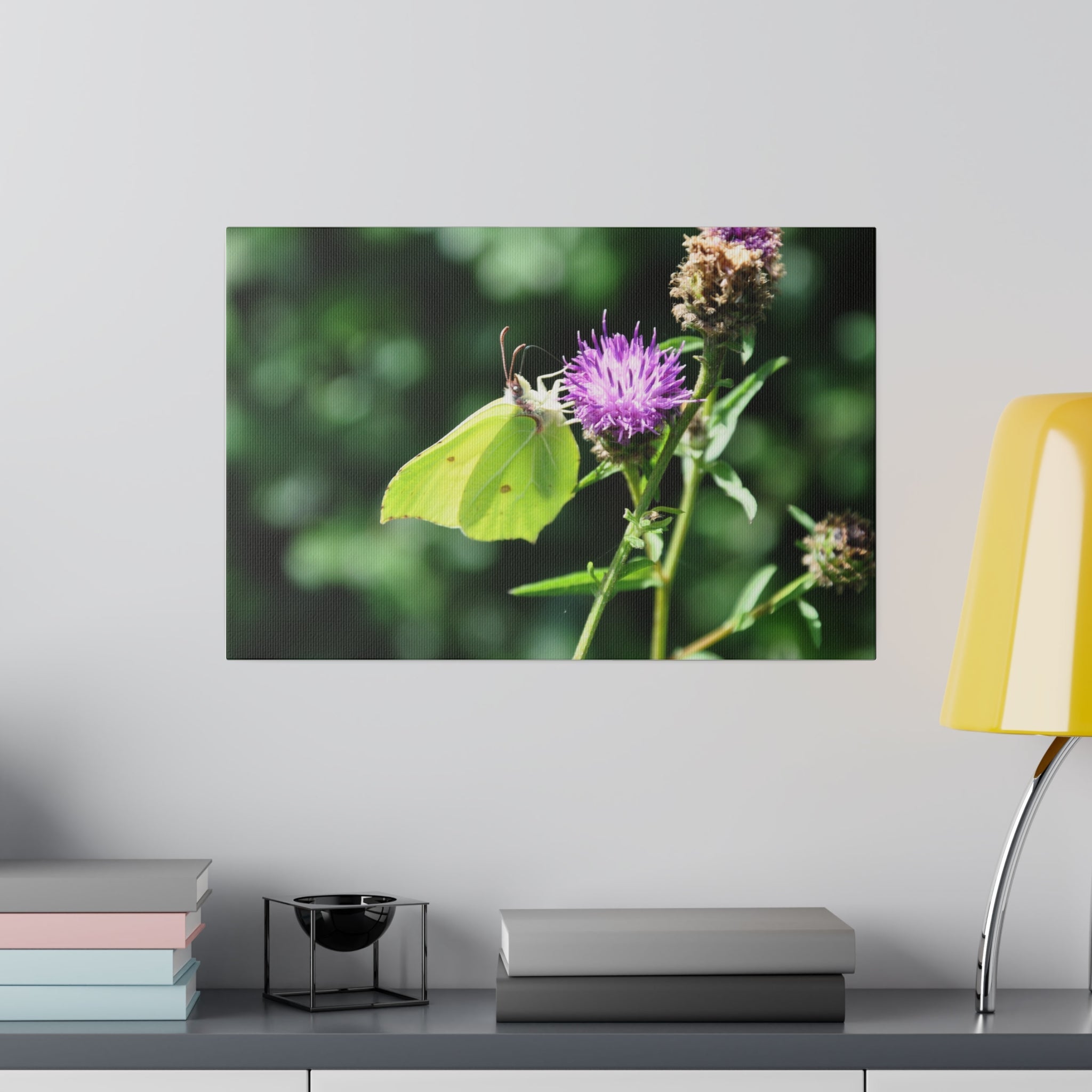 Common Brimstone Butterfly On A Flower Canvas - The Trio Synergize Group