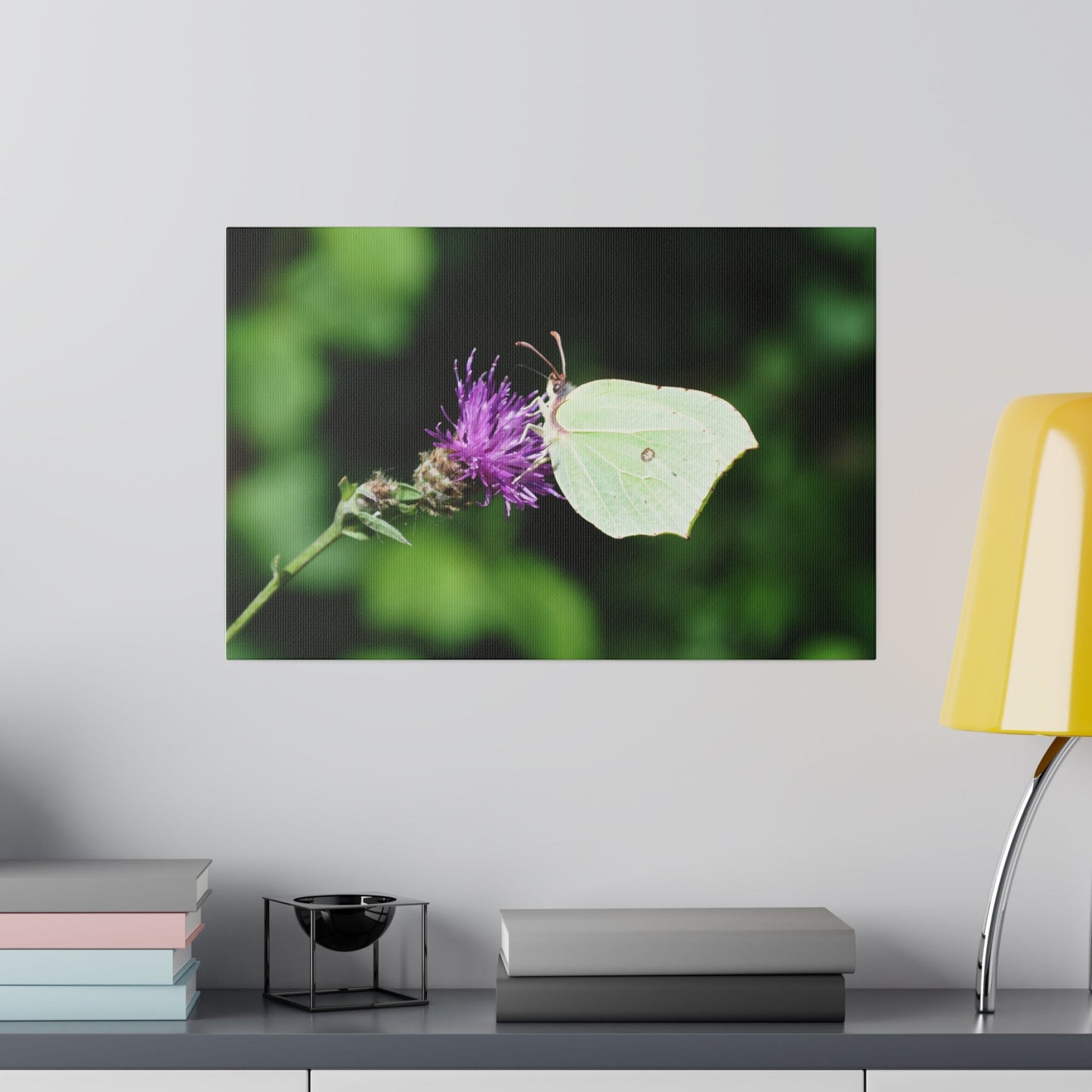 Common Brimstone Butterfly On A Flower From The Right Canvas - The Trio Synergize Group