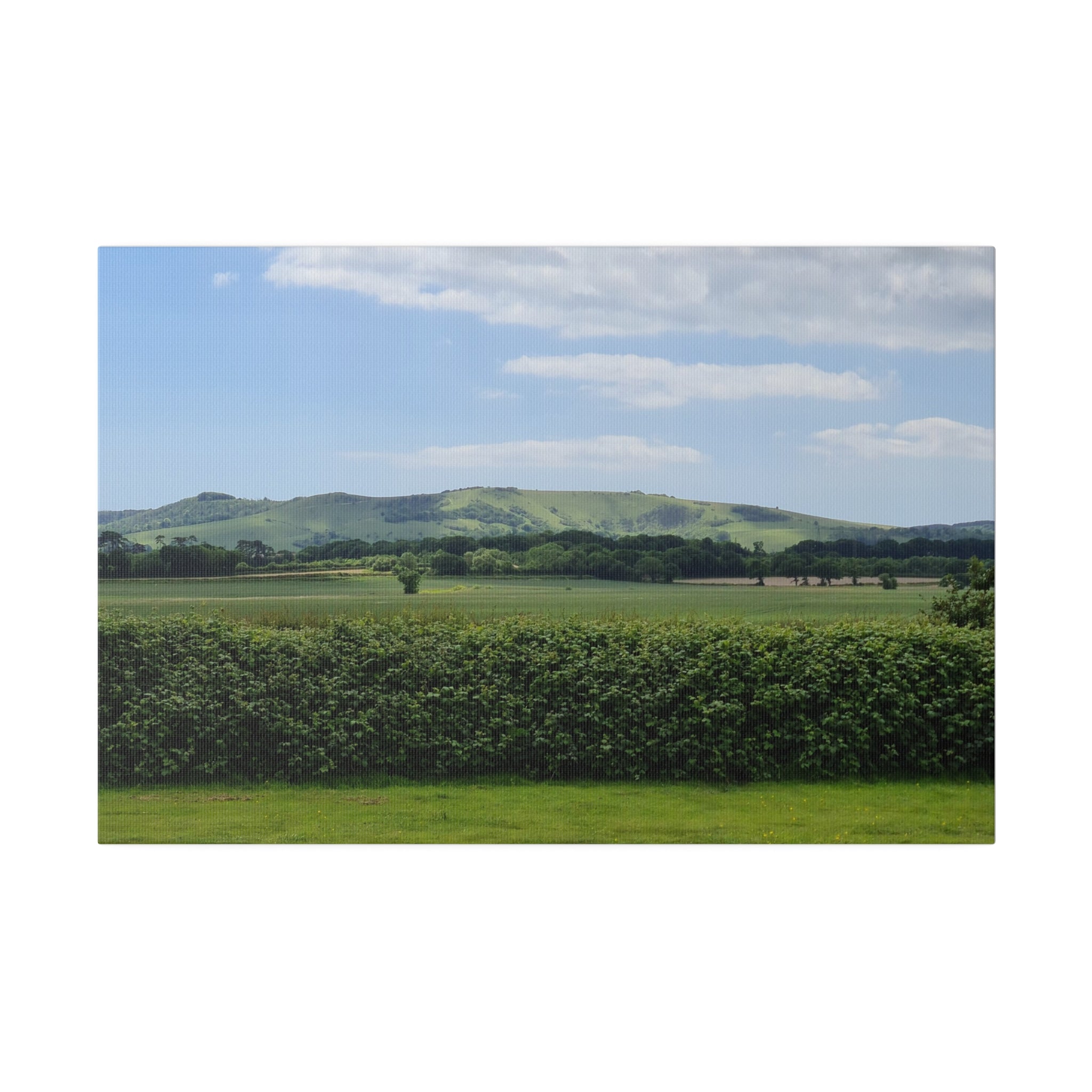 Countryside And A Hill In Background Canvas - The Trio Synergize Group