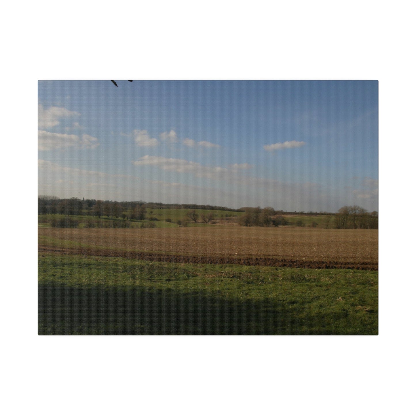 Countryside Landscape, Matte Canvas, Stretched, 0.75" - The Trio Synergize Group