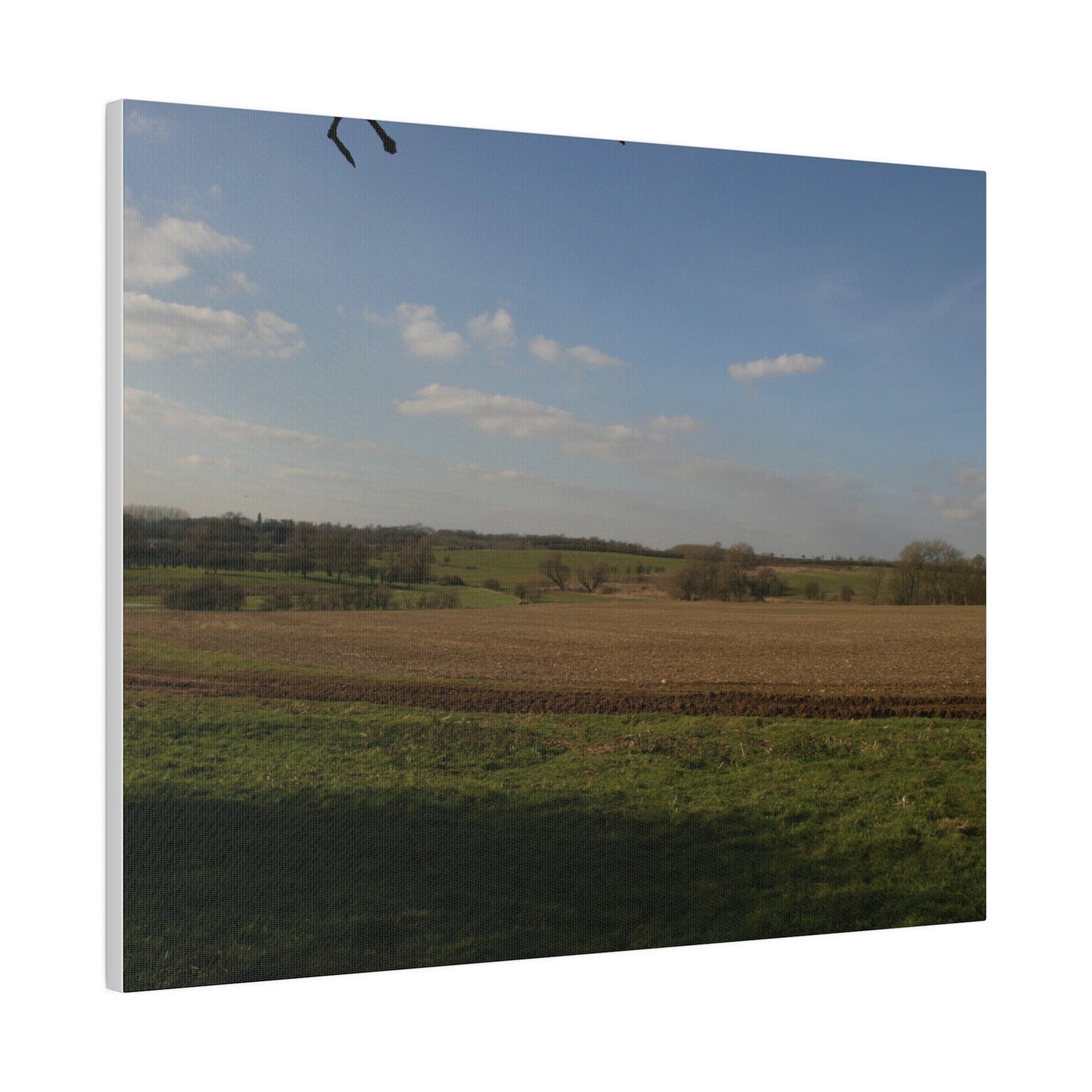 Countryside Landscape, Matte Canvas, Stretched, 0.75" - The Trio Synergize Group