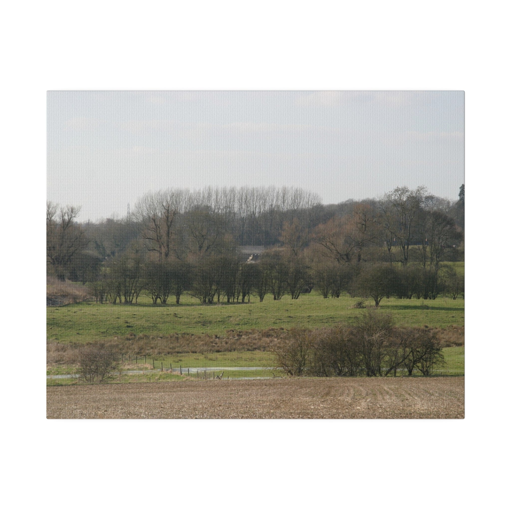 Countryside Landscape With Trees Canvas - The Trio Synergize Group