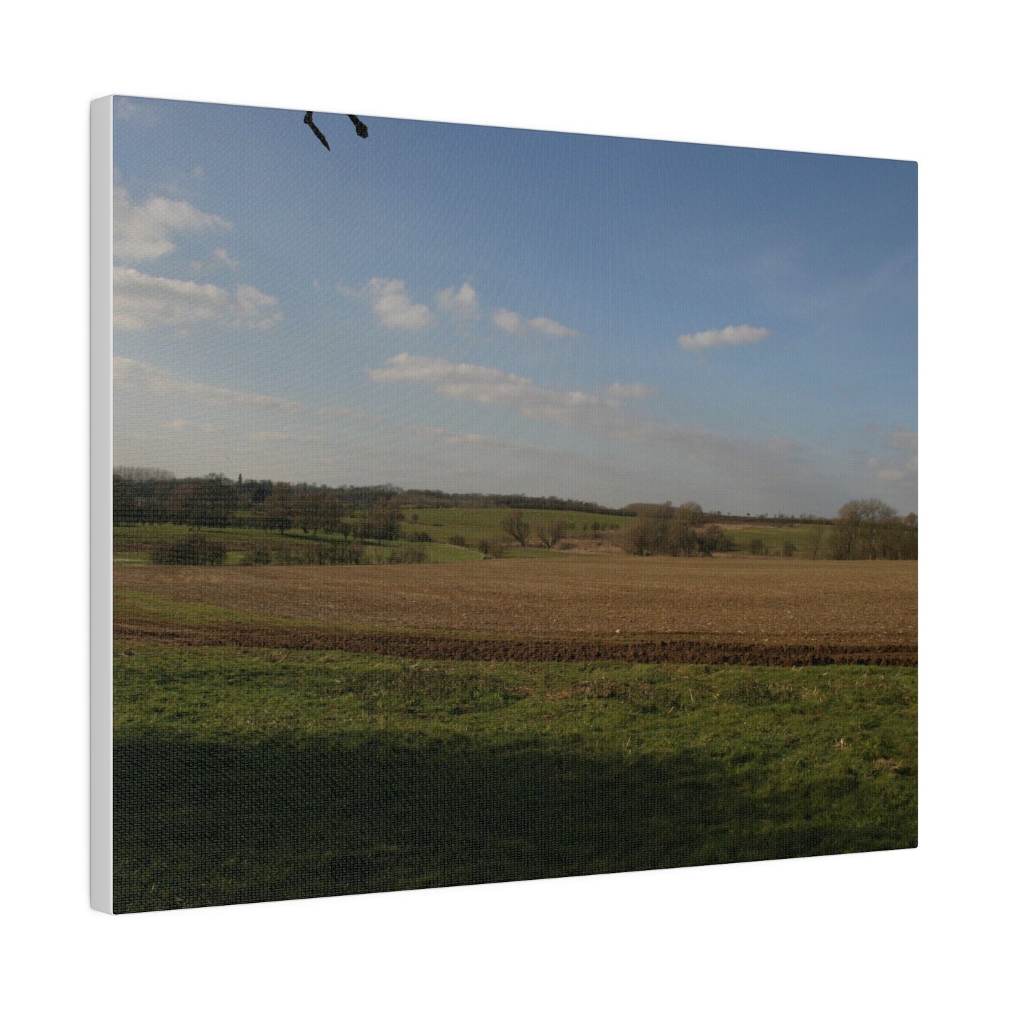 Countryside Landscape, Matte Canvas, Stretched, 0.75" - The Trio Synergize Group