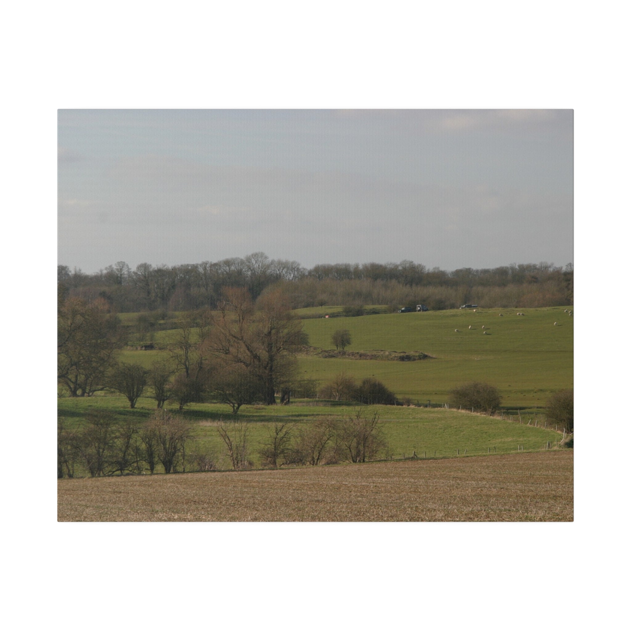 Countryside Landscape With Sheep On A Hill & Trees Canvas - The Trio Synergize Group