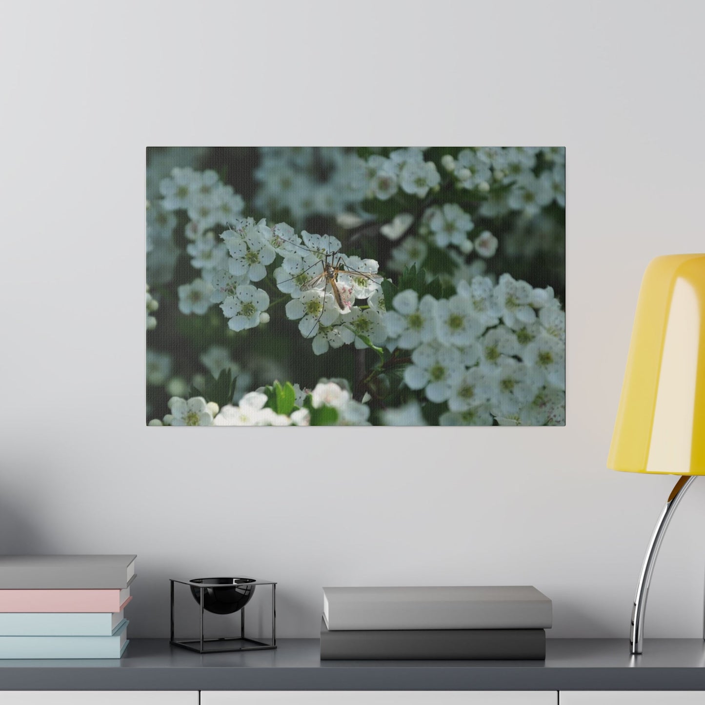 Crane Fly On Tree Blossom Canvas - The Trio Synergize Group
