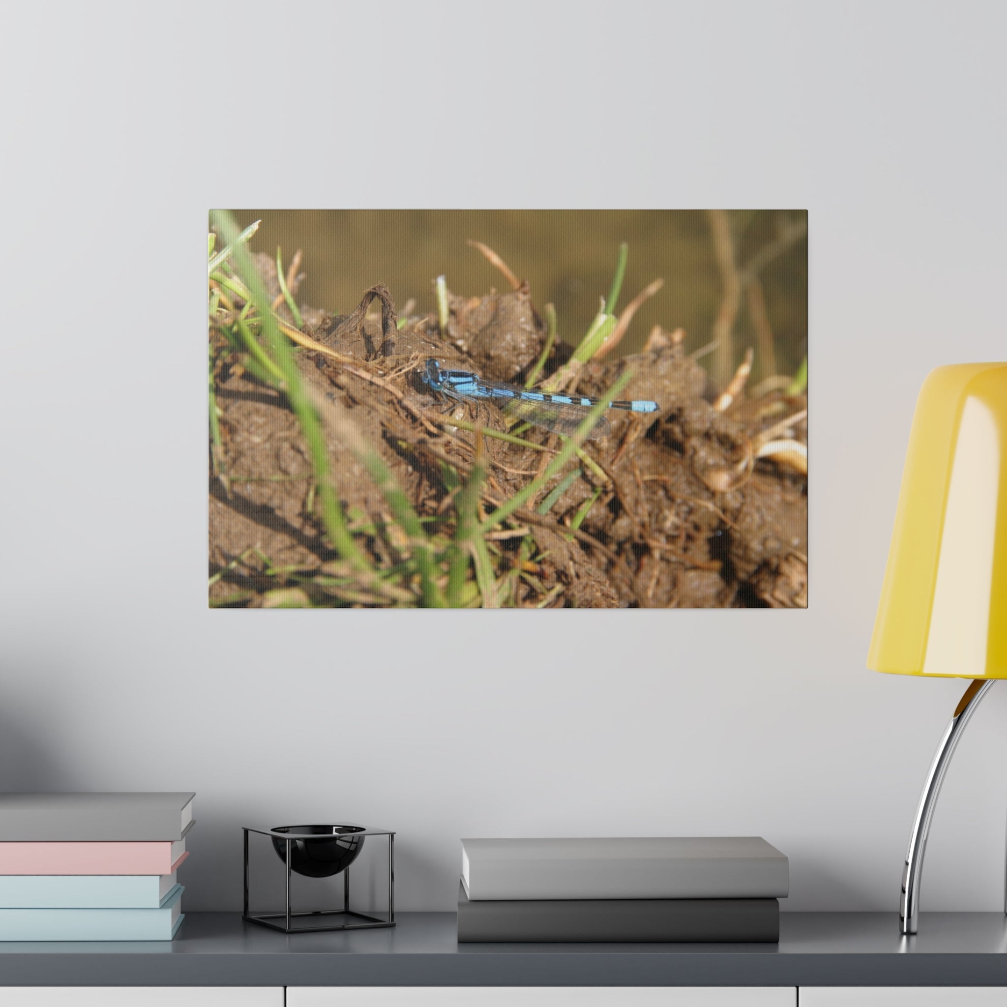 Damselfly Resting On The Waters Edge Canvas - The Trio Synergize Group