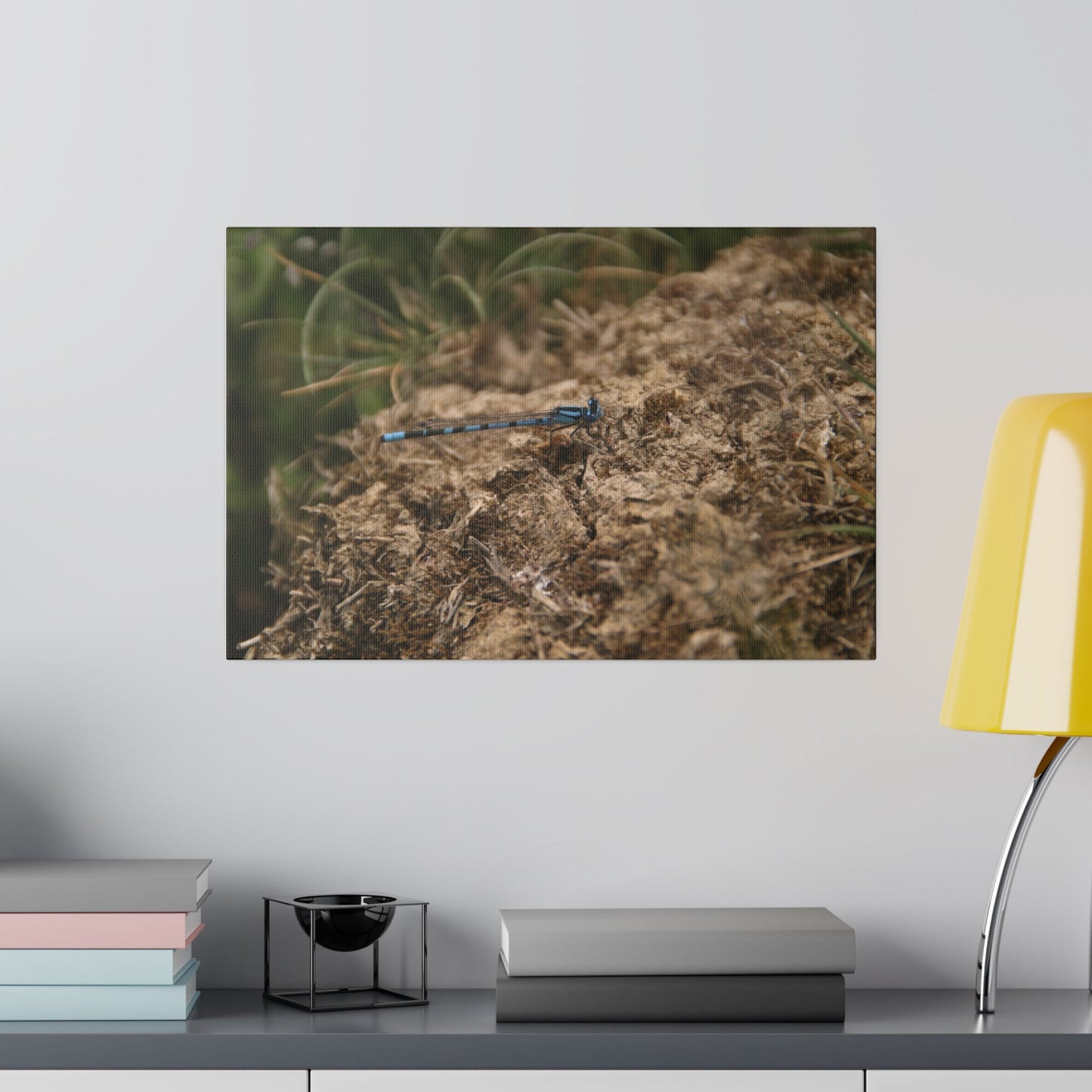 Damselfly Resting Canvas Print - The Trio Synergize Group