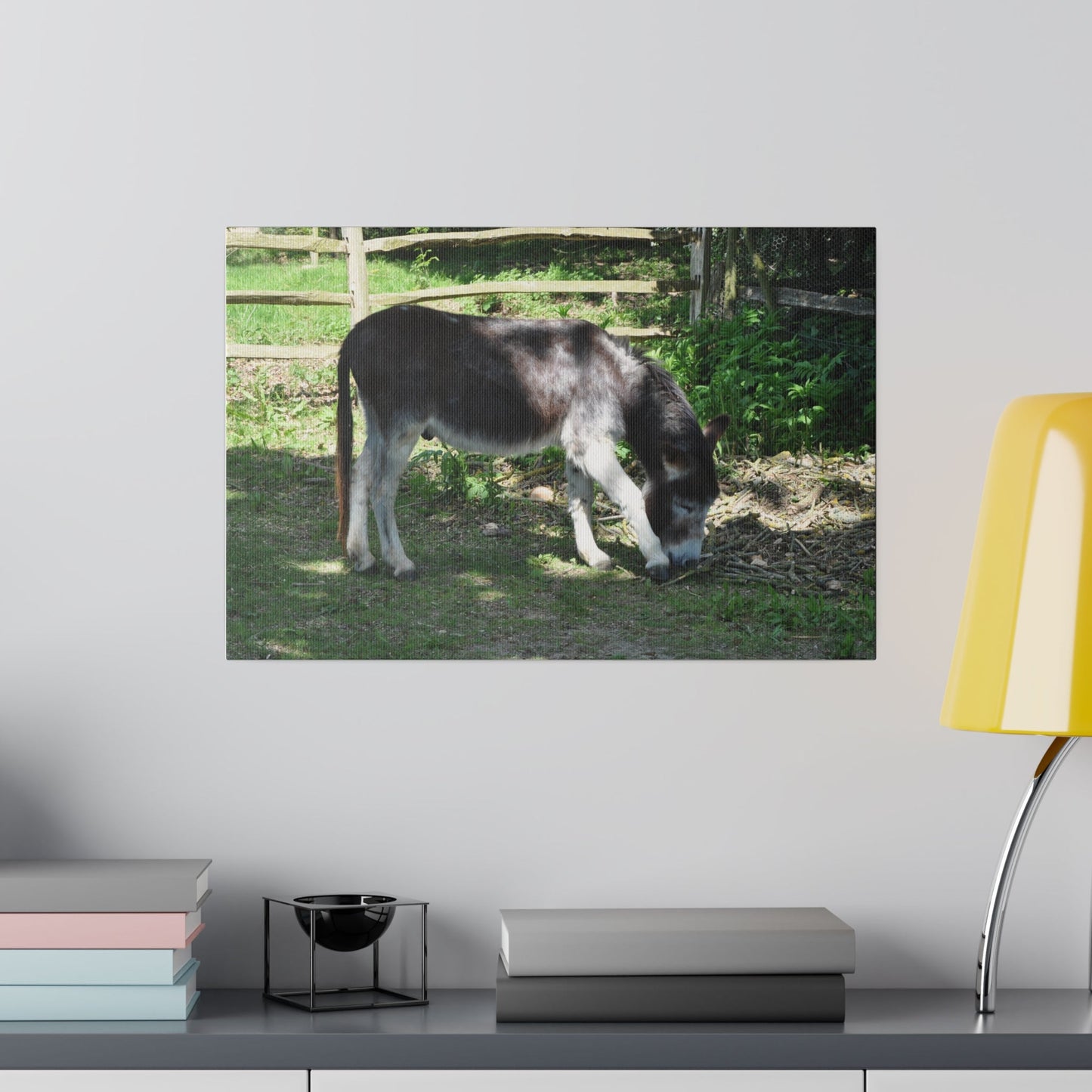 Donkey Eating Grass Canvas Print - The Trio Synergize Group