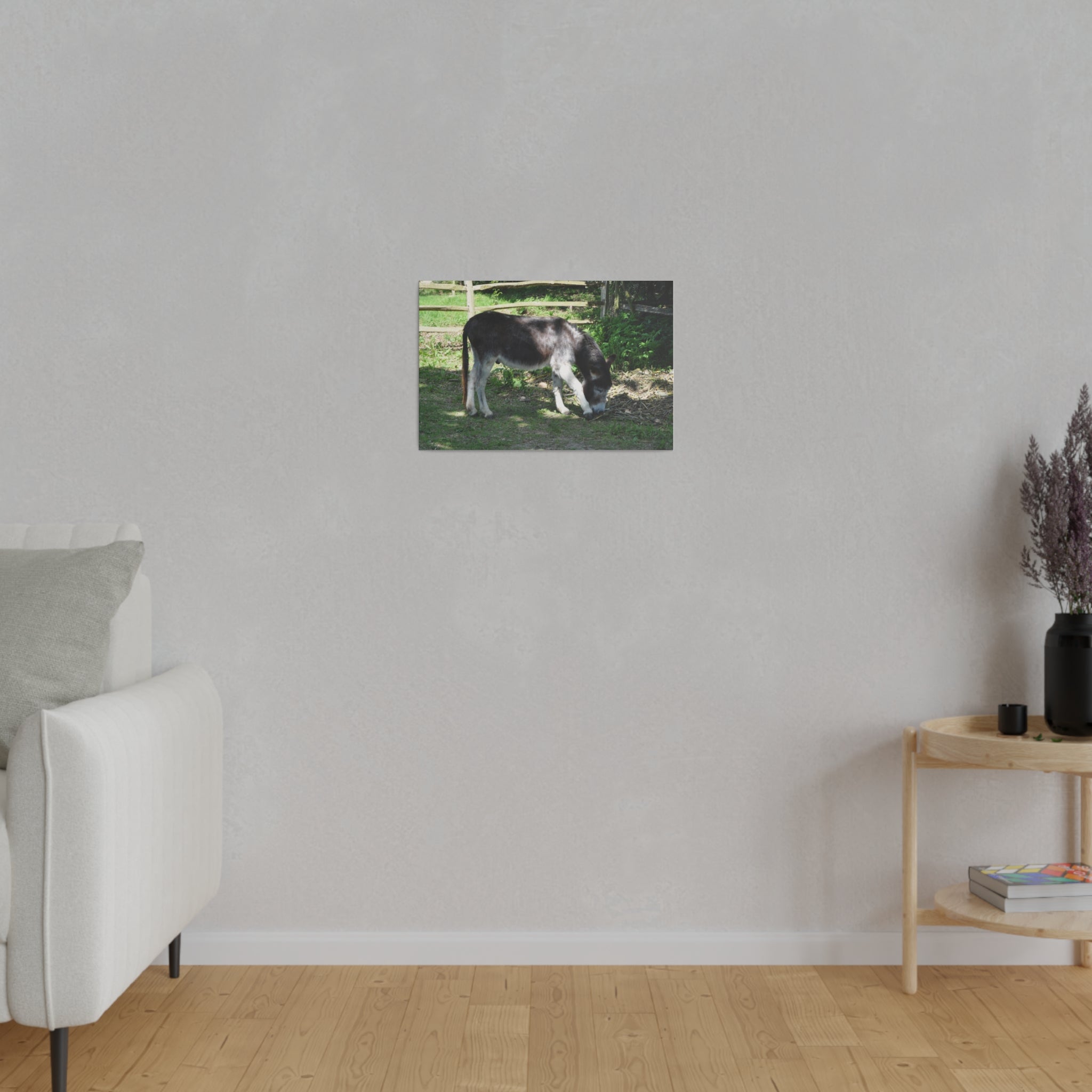 Donkey Eating Grass Canvas Print - The Trio Synergize Group
