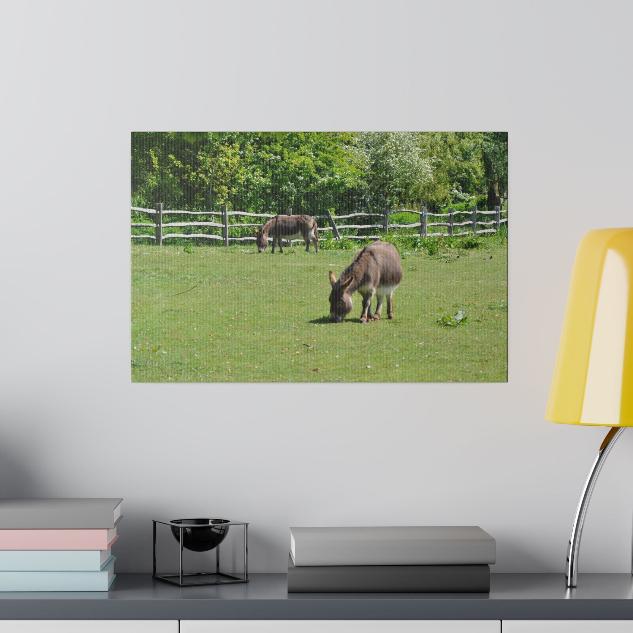 Donkeys In A Field Eating Lush Green Grass Canvas - The Trio Synergize Group