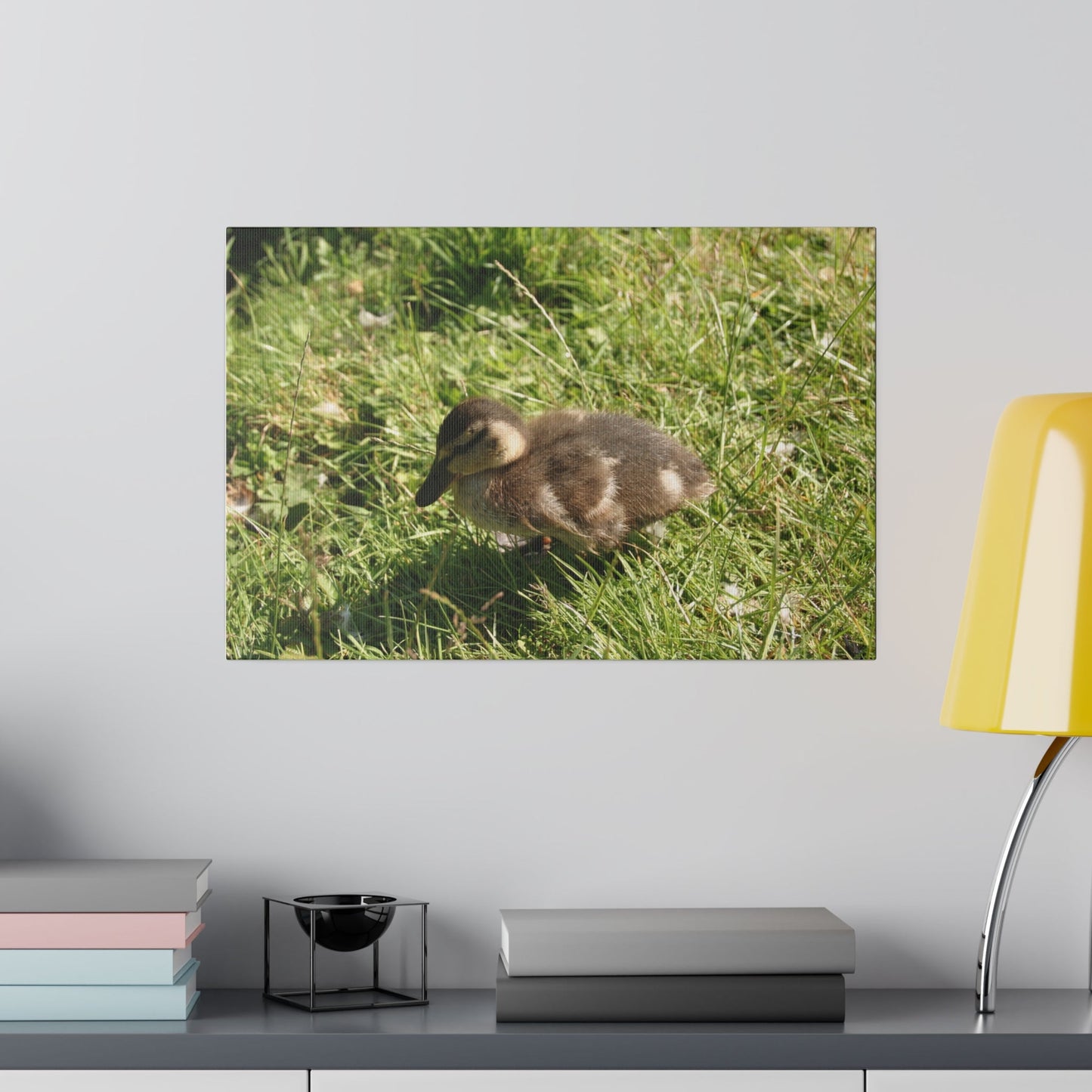 Single Duckling Sitting Canvas - The Trio Synergize Group