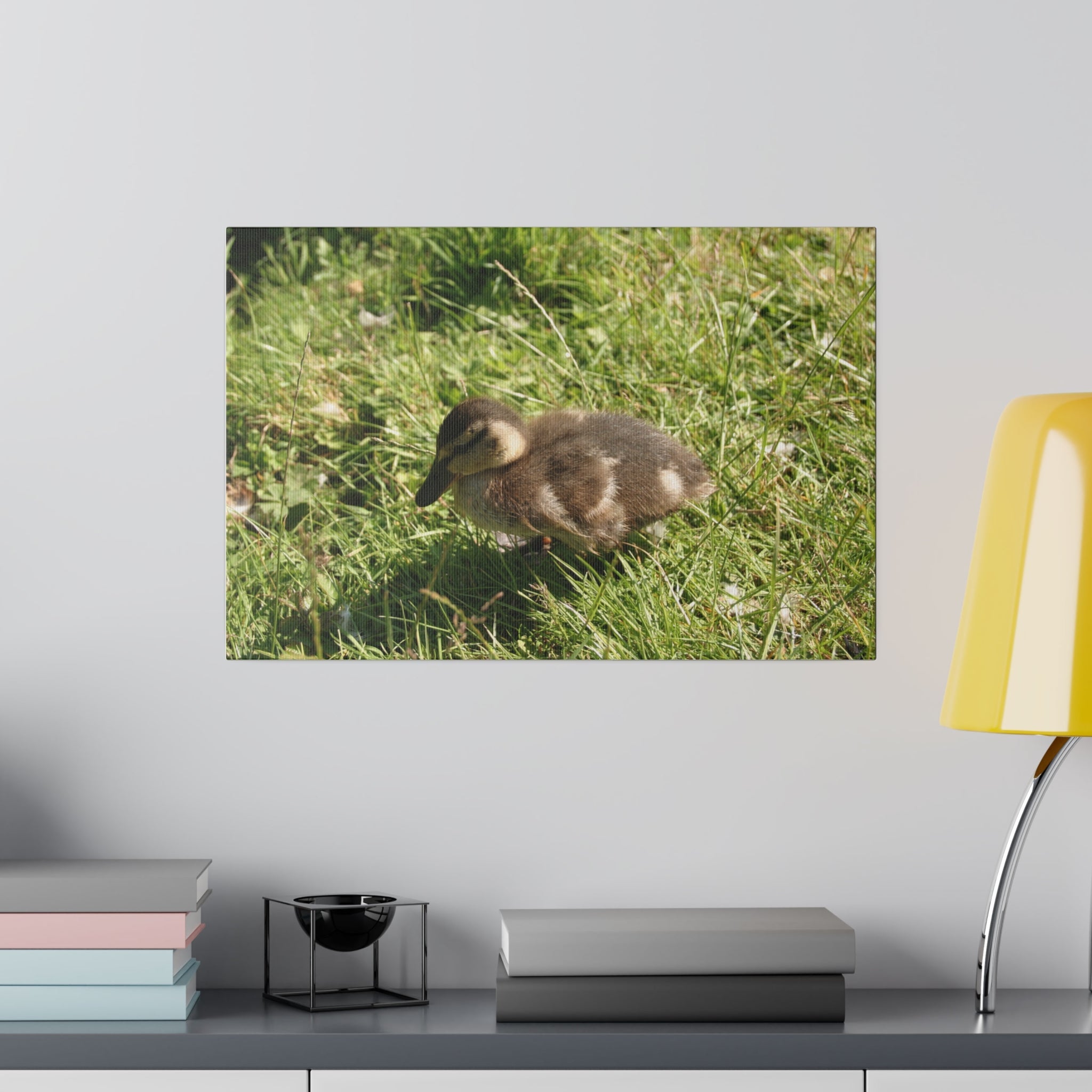 Single Duckling Sitting Canvas - The Trio Synergize Group