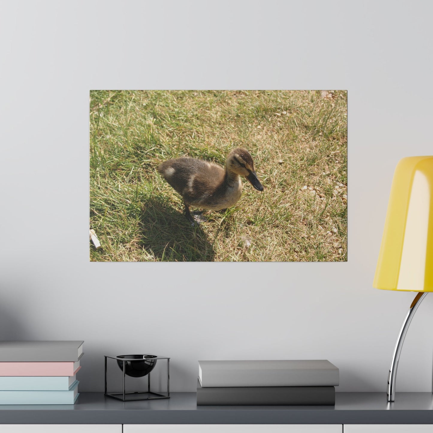 Single Duckling Looking Right Canvas - The Trio Synergize Group