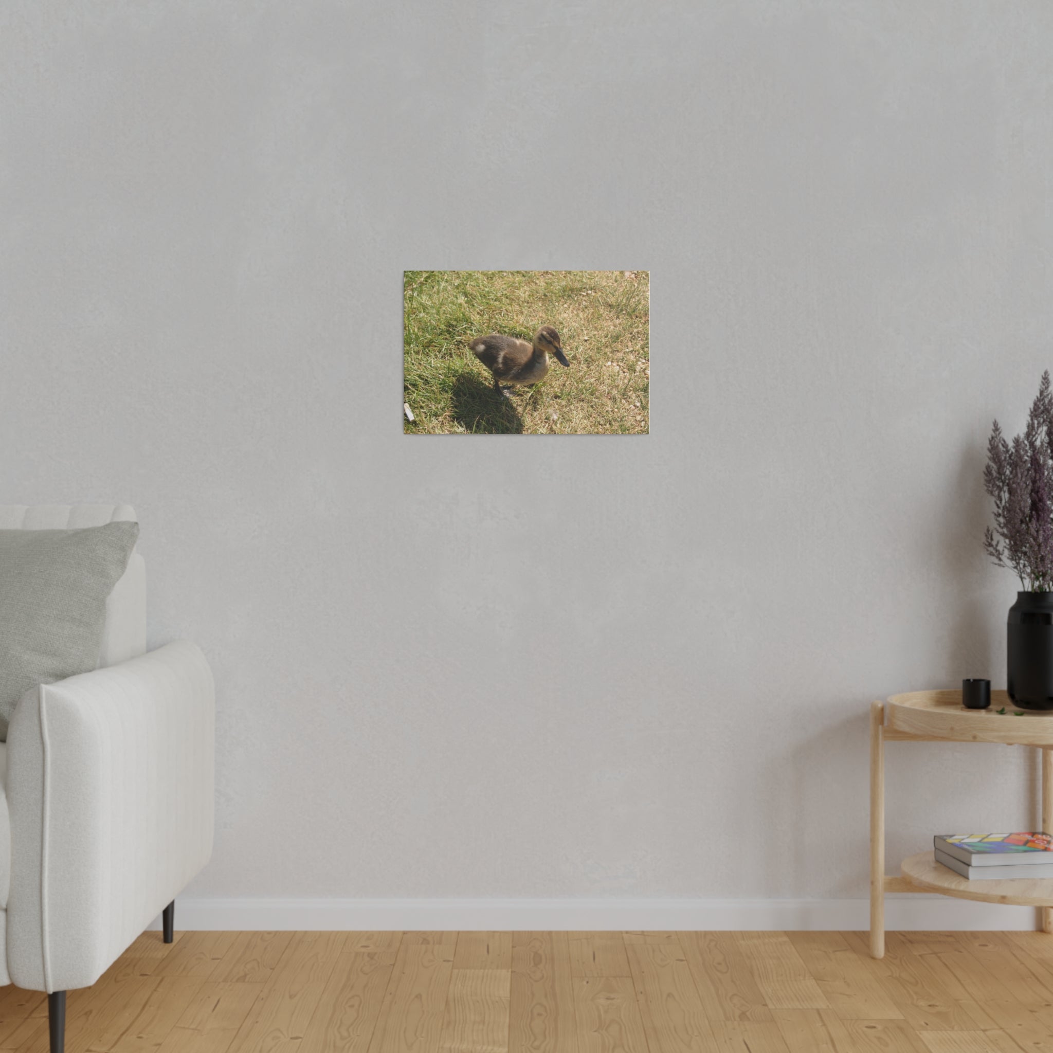 Single Duckling Looking Right Canvas - The Trio Synergize Group