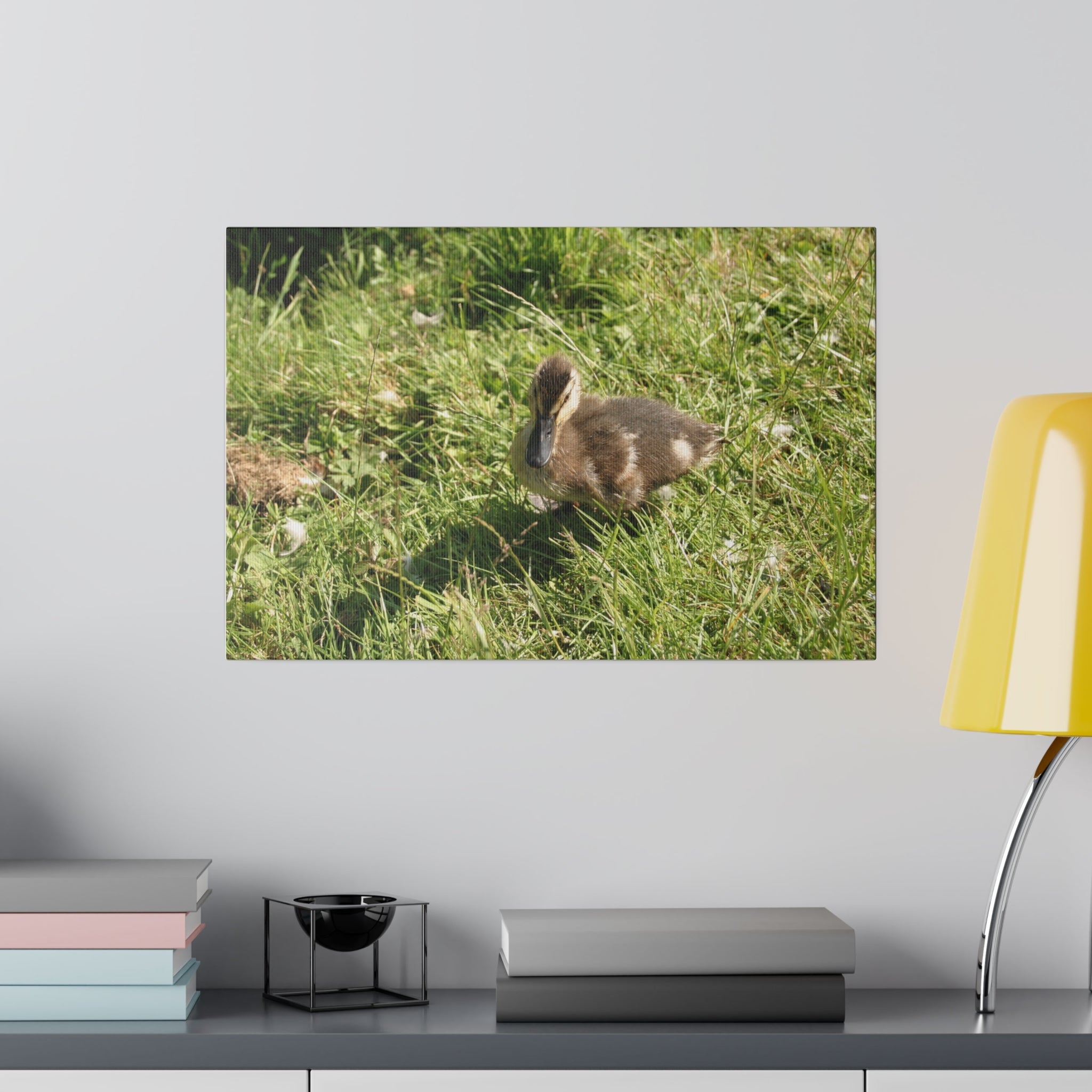 Single Duckling Looking Forward Canvas - The Trio Synergize Group