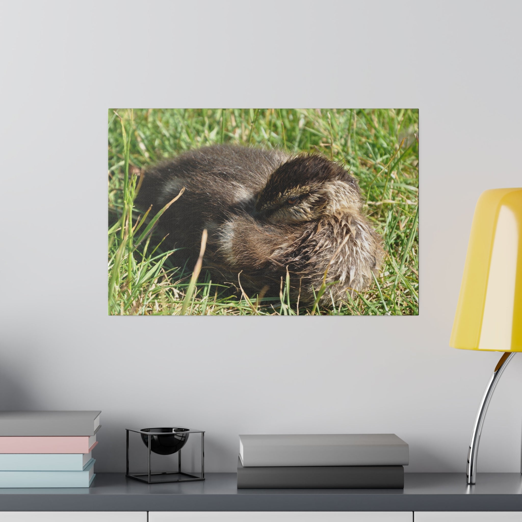 Baby Duckling Resting Head Tucked In Canvas - The Trio Synergize Group
