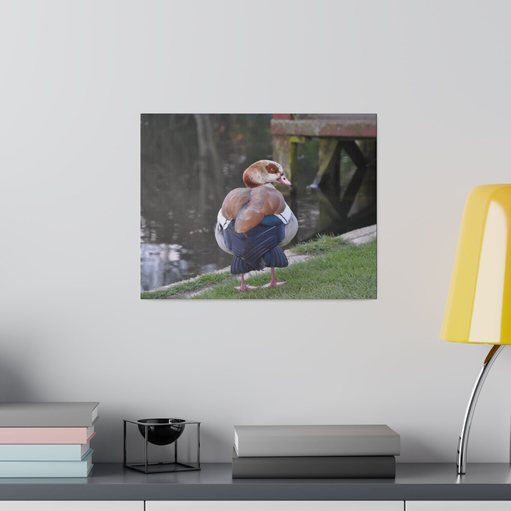 Egyptian Goose Rear View By The Pond Canvas - The Trio Synergize Group