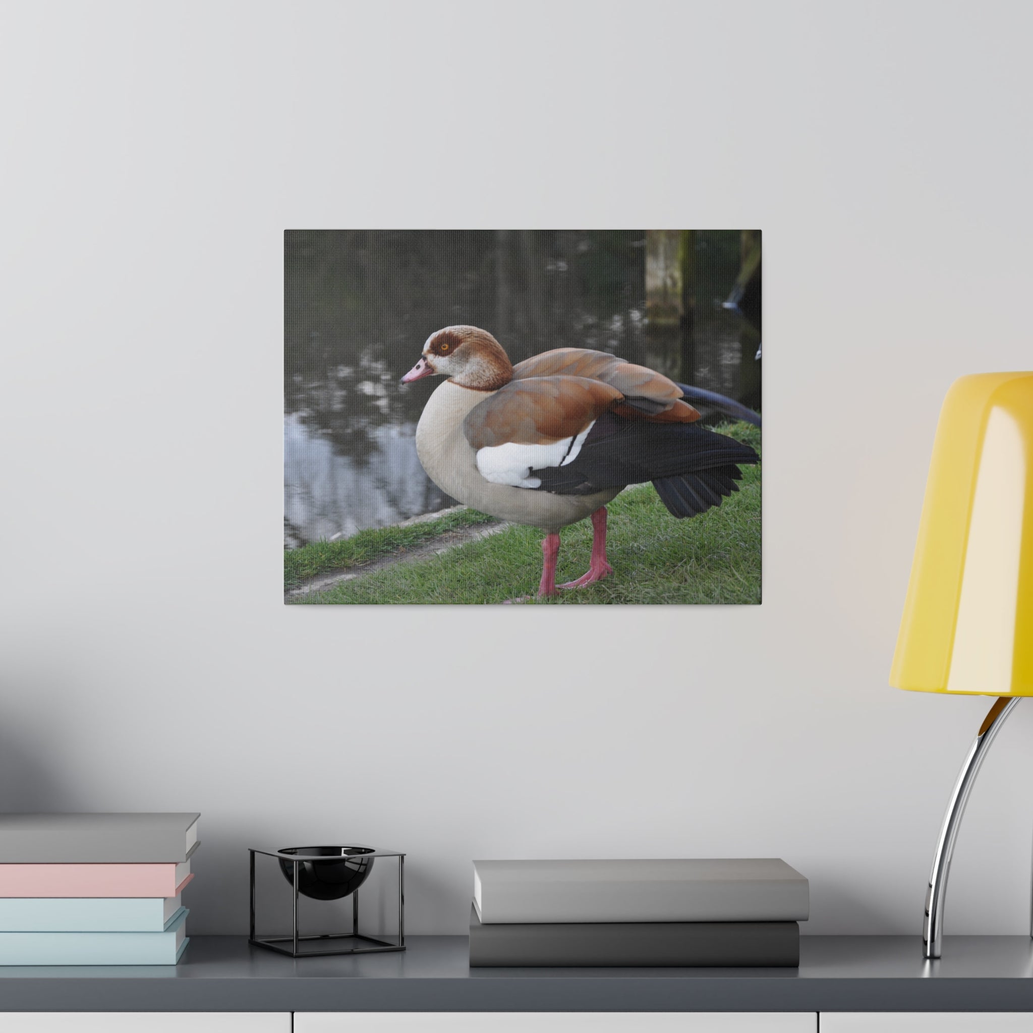 Egyptian Goose Side View Near Pond Canvas - The Trio Synergize Group
