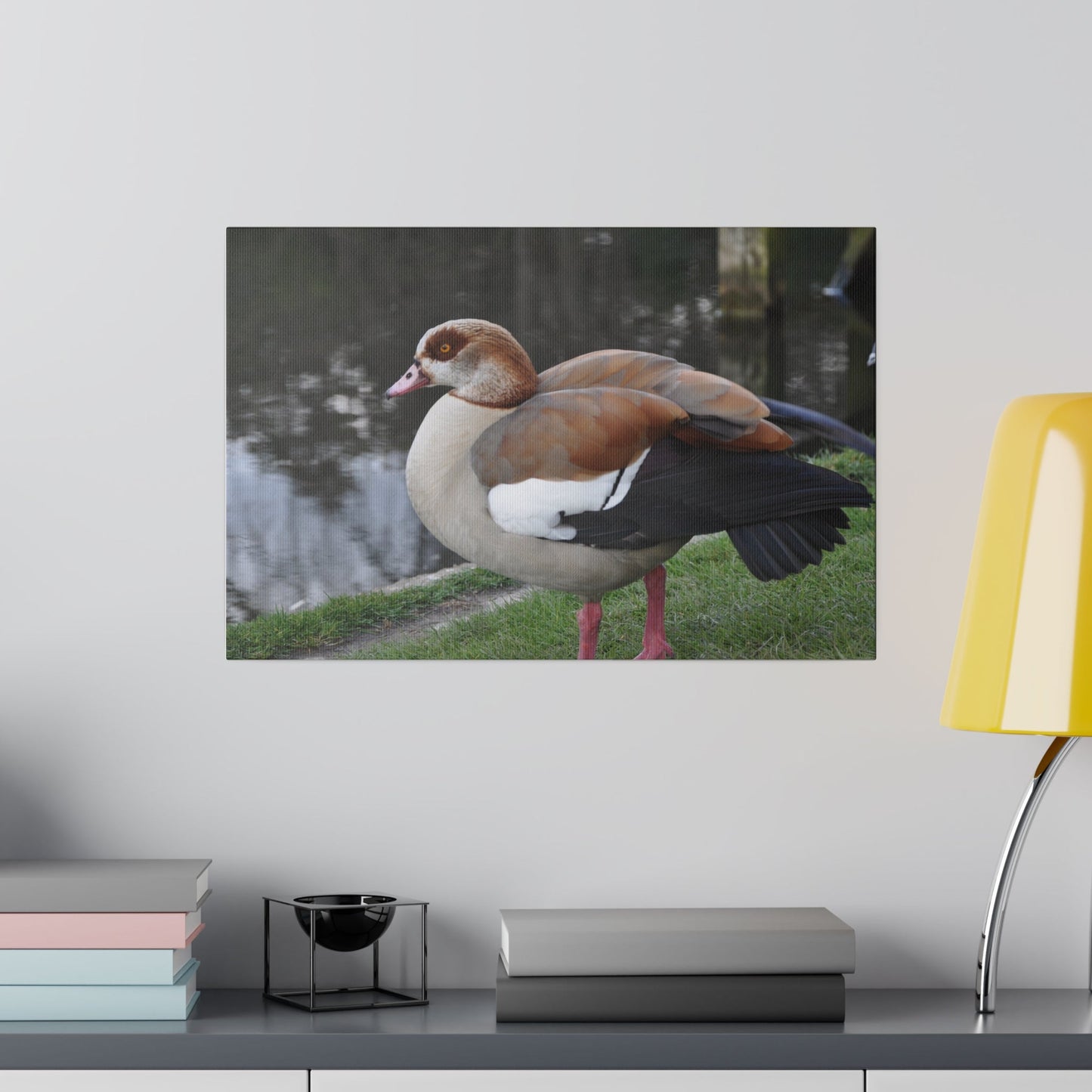 Egyptian Goose Side View Near Pond Canvas - The Trio Synergize Group