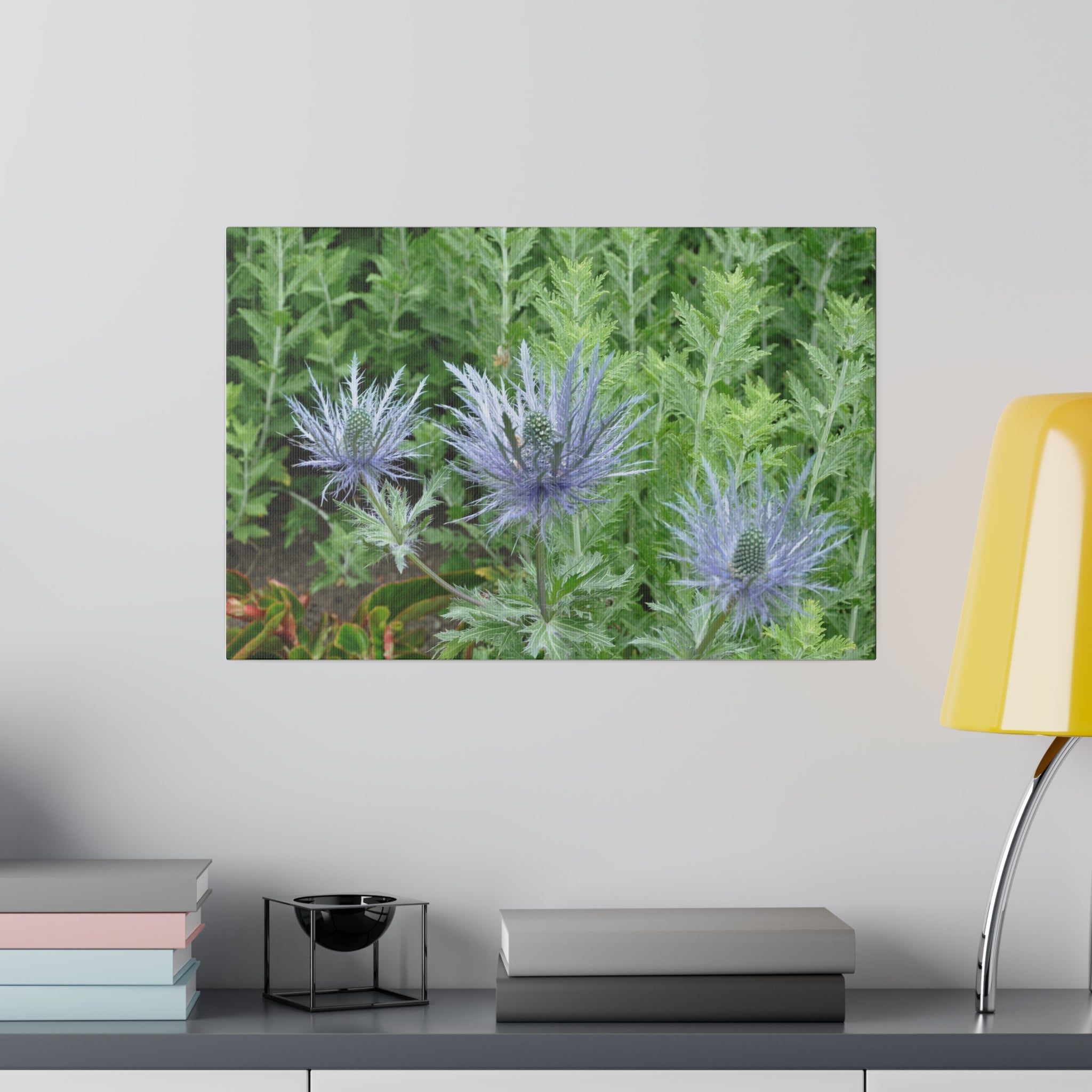 Three Eryngium Alpinum Flowers Canvas - The Trio Synergize Group