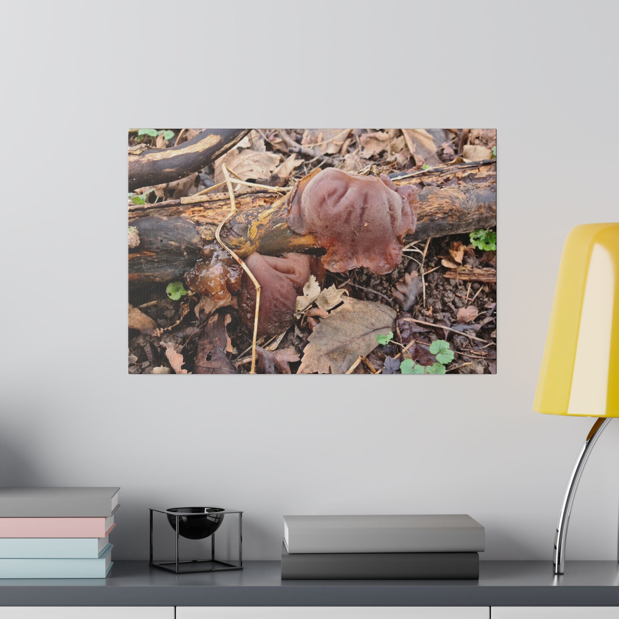 Fungus On Wood Close Up Canvas - The Trio Synergize Group