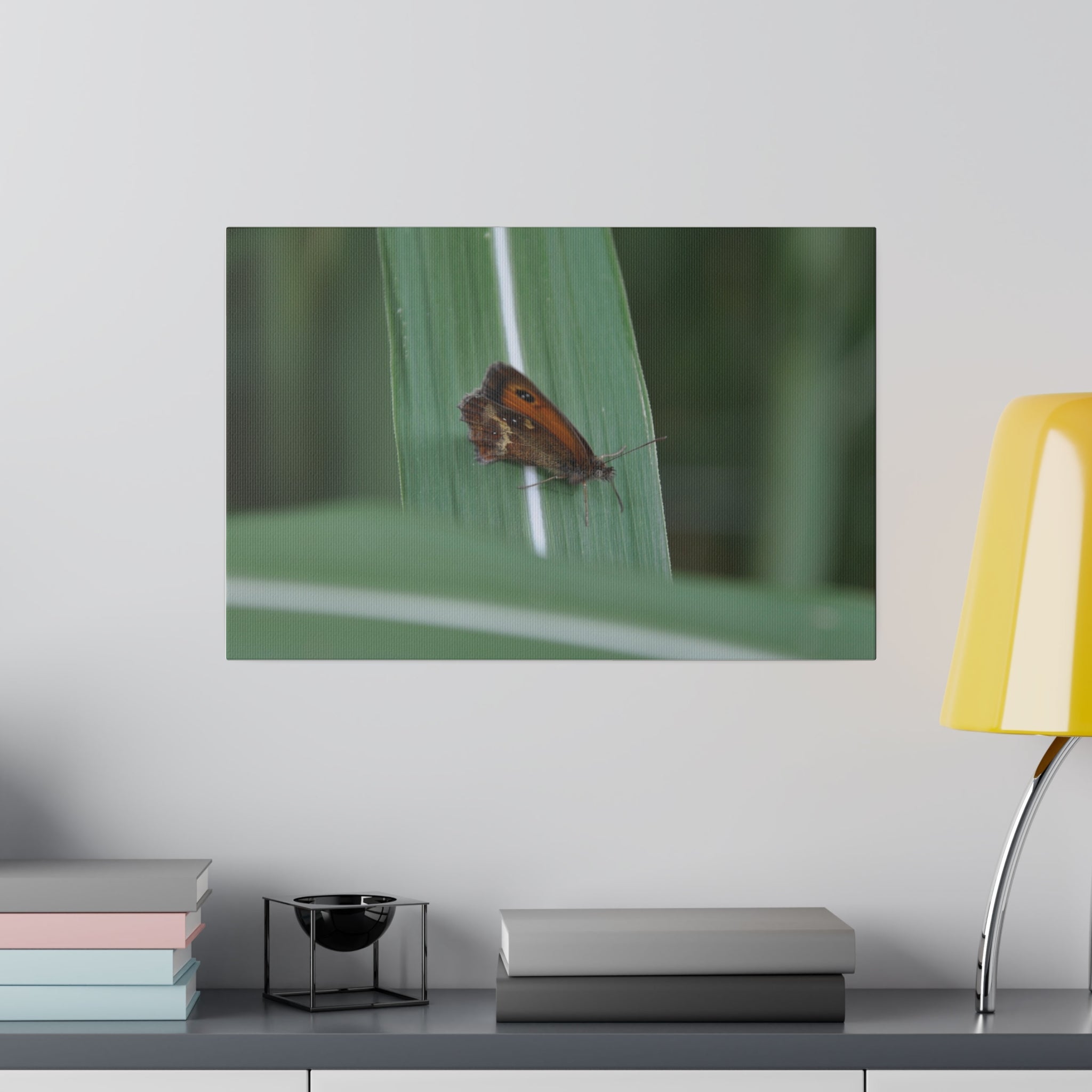 Gatekeeper Butterfly Resting, Blurred Background Canvas - The Trio Synergize Group