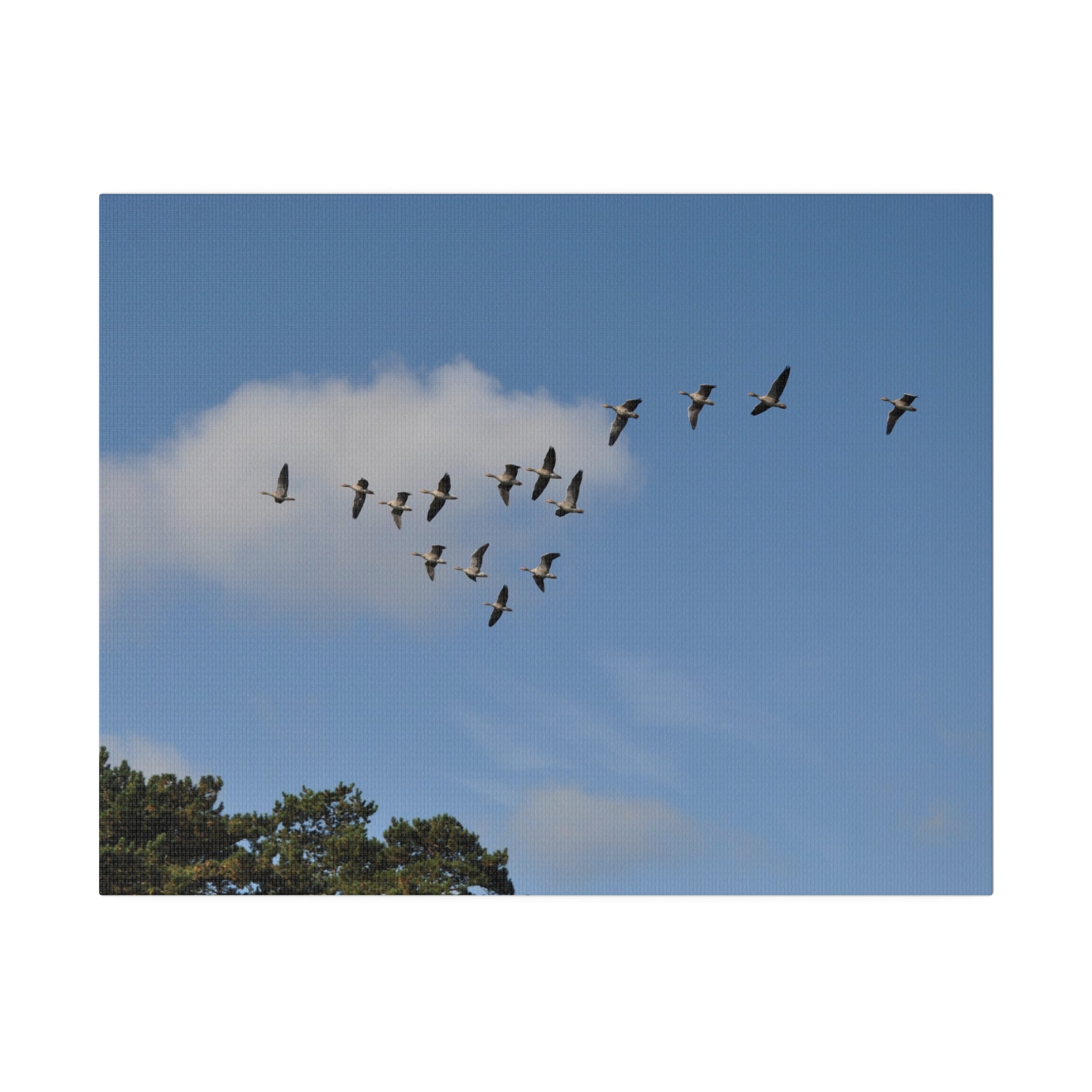 A Flock Of Geese Flying Canvas - The Trio Synergize Group
