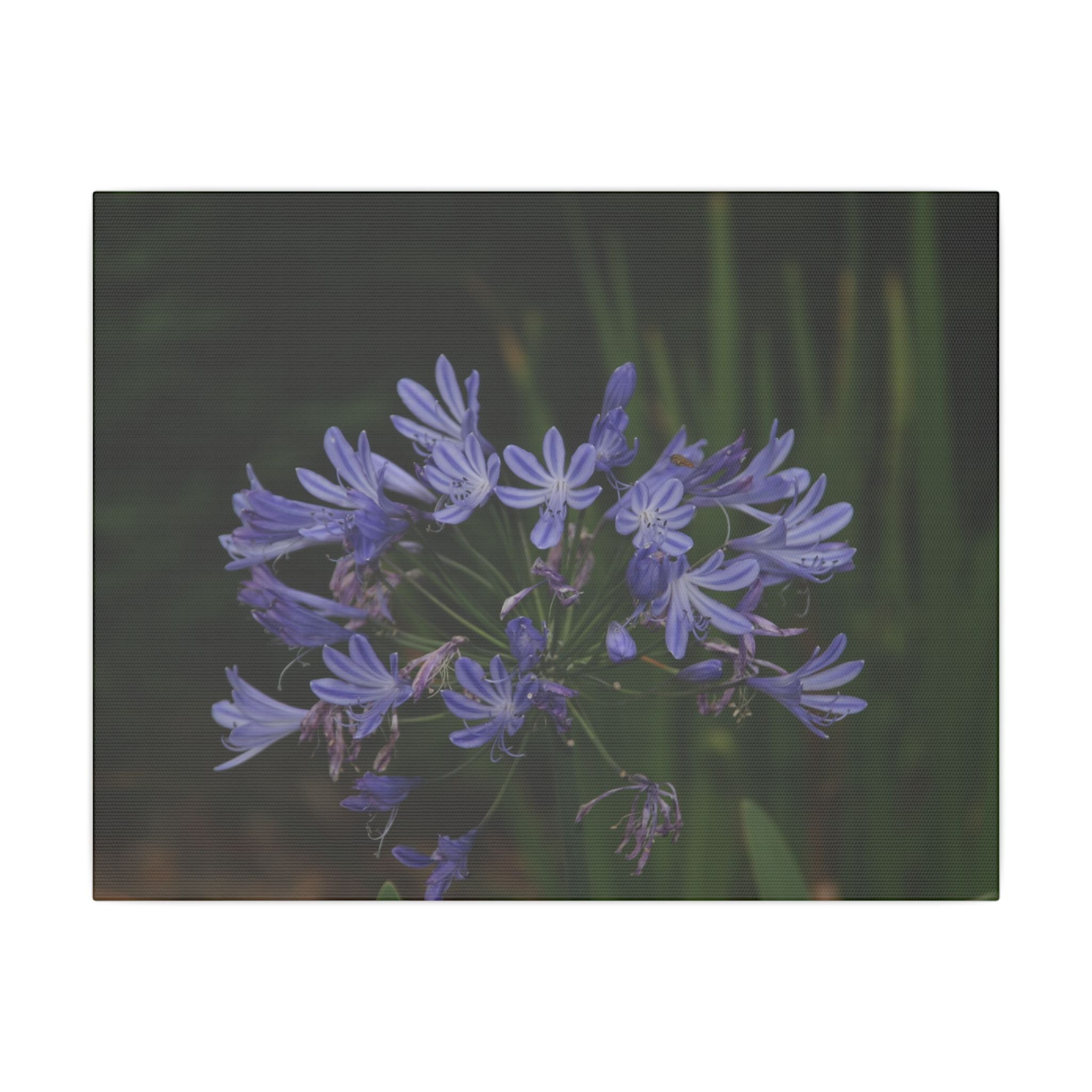 Geooloka, Matte Canvas, Stretched, 0.75" - The Trio Synergize Group