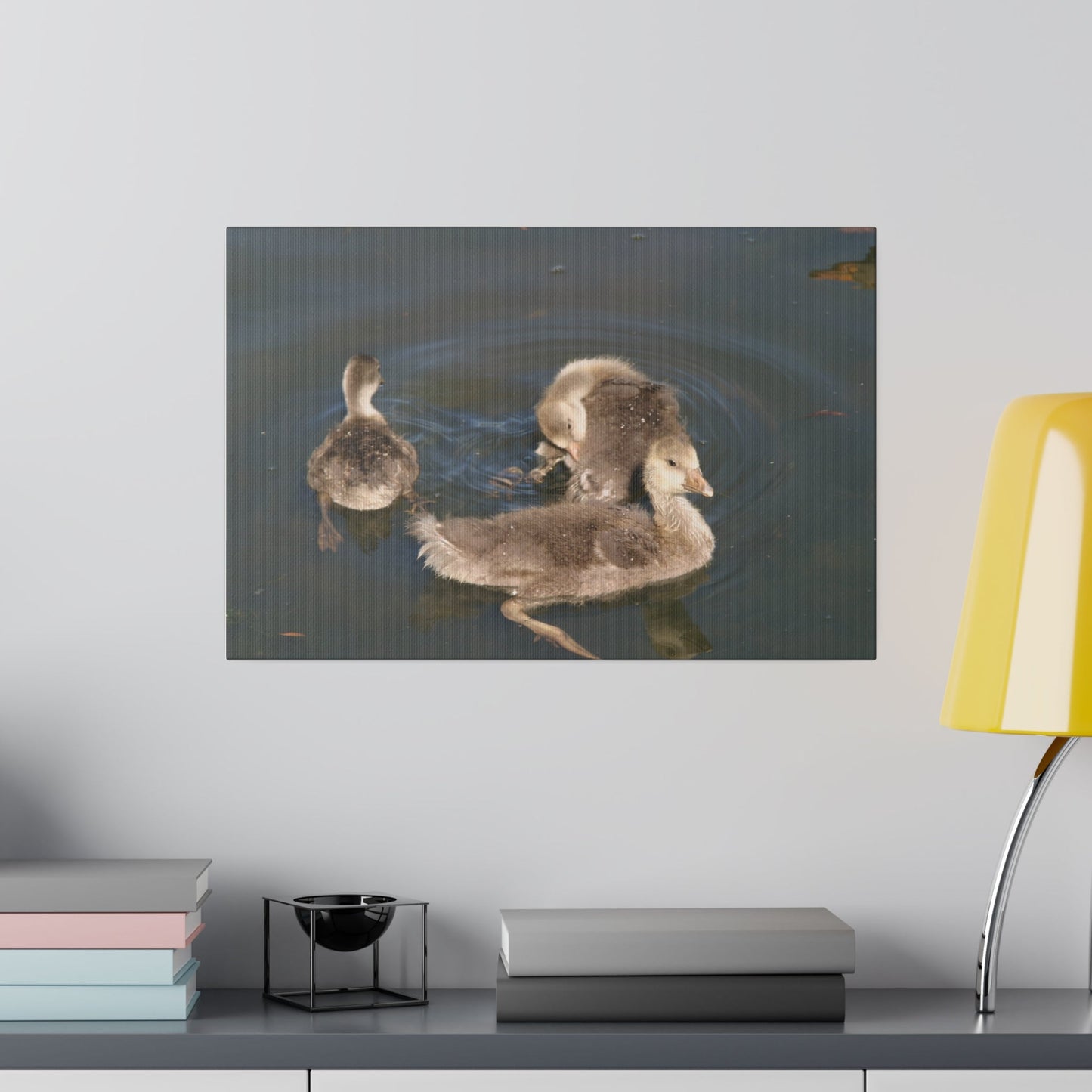 Goslings Swimming Canvas Print - The Trio Synergize Group