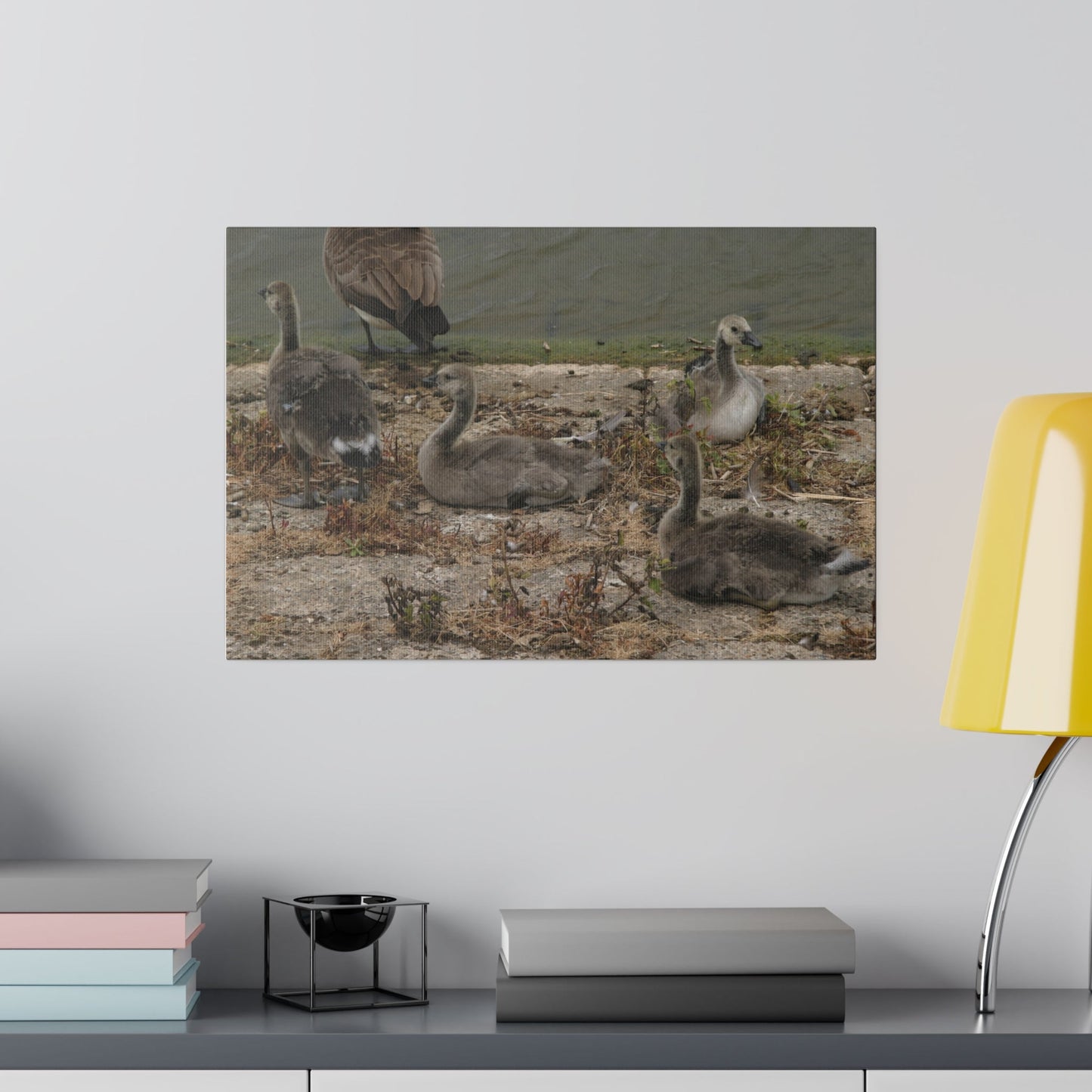 Goslings, Matte Canvas, Stretched, 0.75" - The Trio Synergize Group