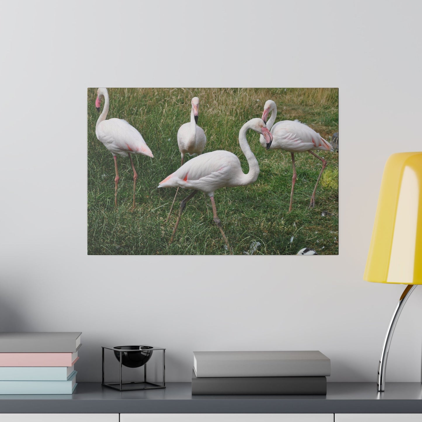 Four Greater Flamingos Canvas Print - The Trio Synergize Group