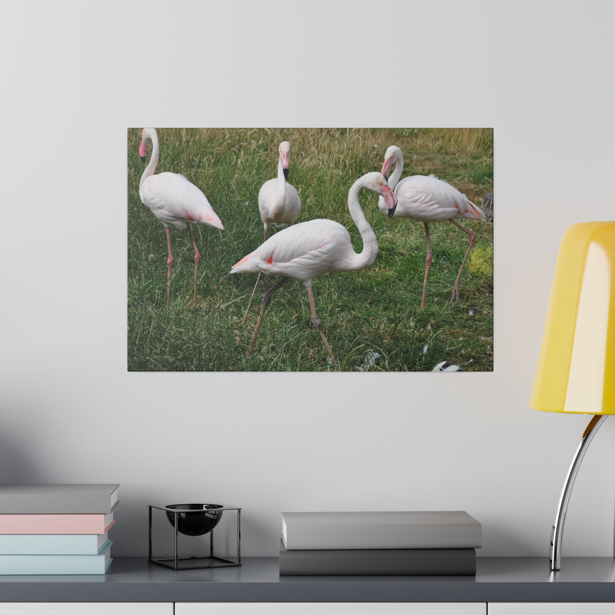 Four Greater Flamingos Canvas Print - The Trio Synergize Group