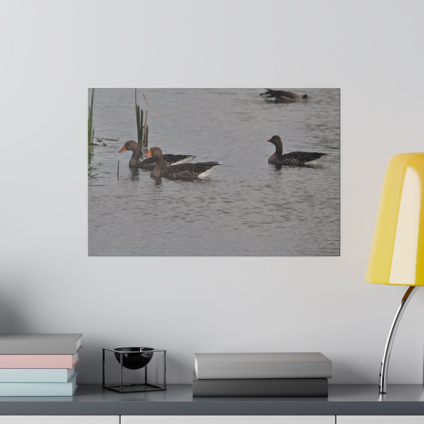 Two Greylag Geese Swimming Canvas - The Trio Synergize Group