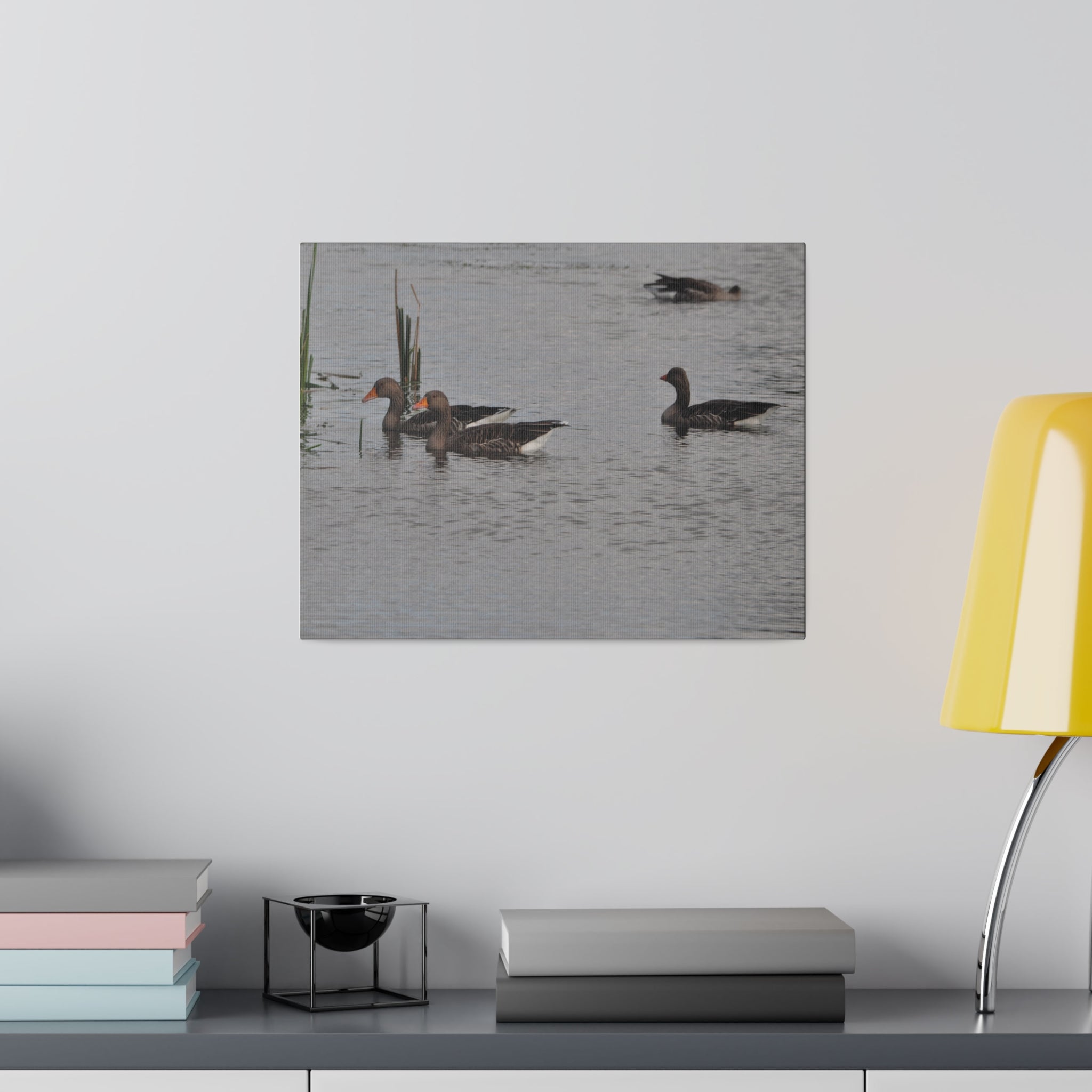 Two Greylag Geese Swimming Canvas - The Trio Synergize Group