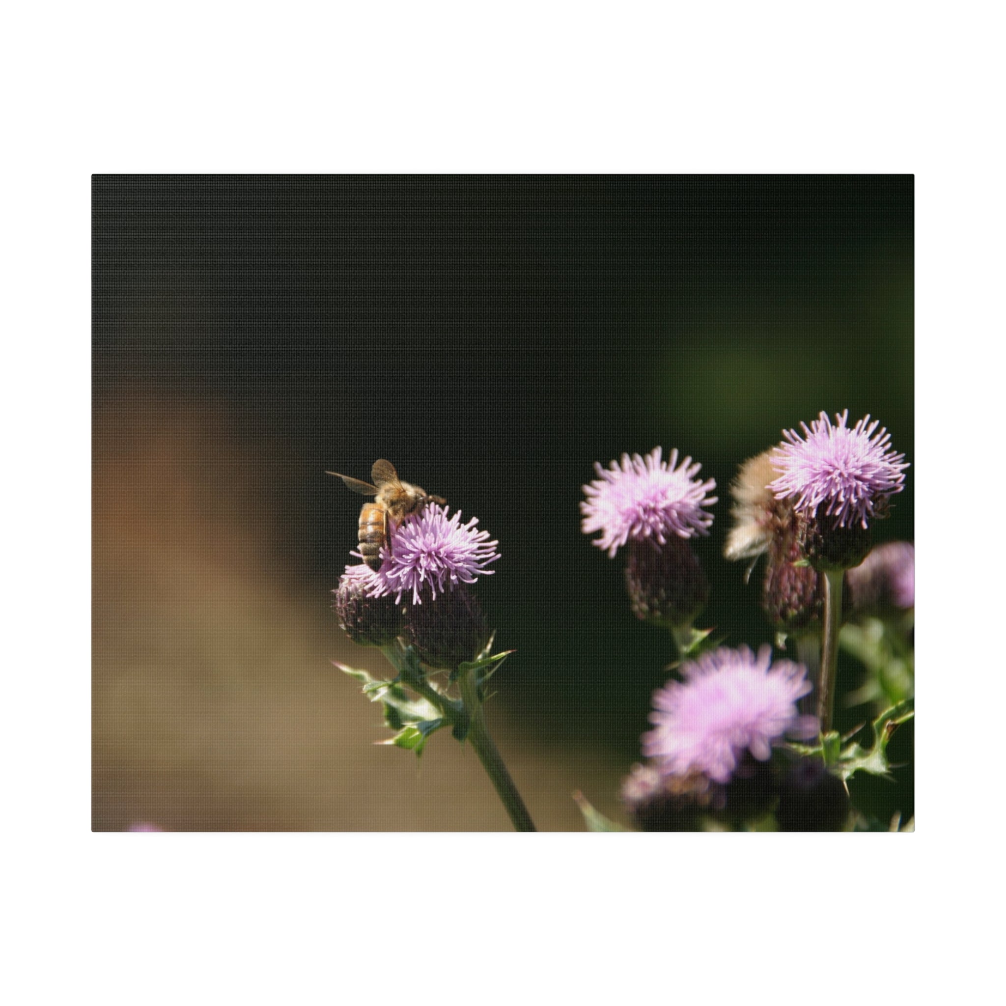 Honey Bee On A Flower With Wings Up - The Trio Synergize Group