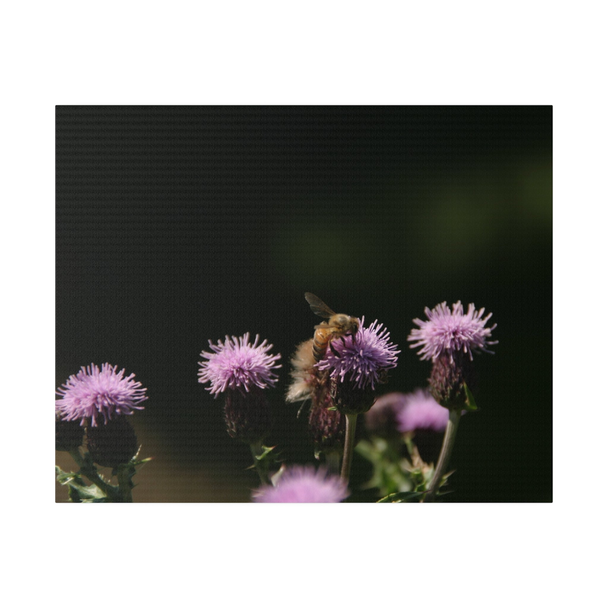 The Honey Bee On A Flower Canvas - The Trio Synergize Group