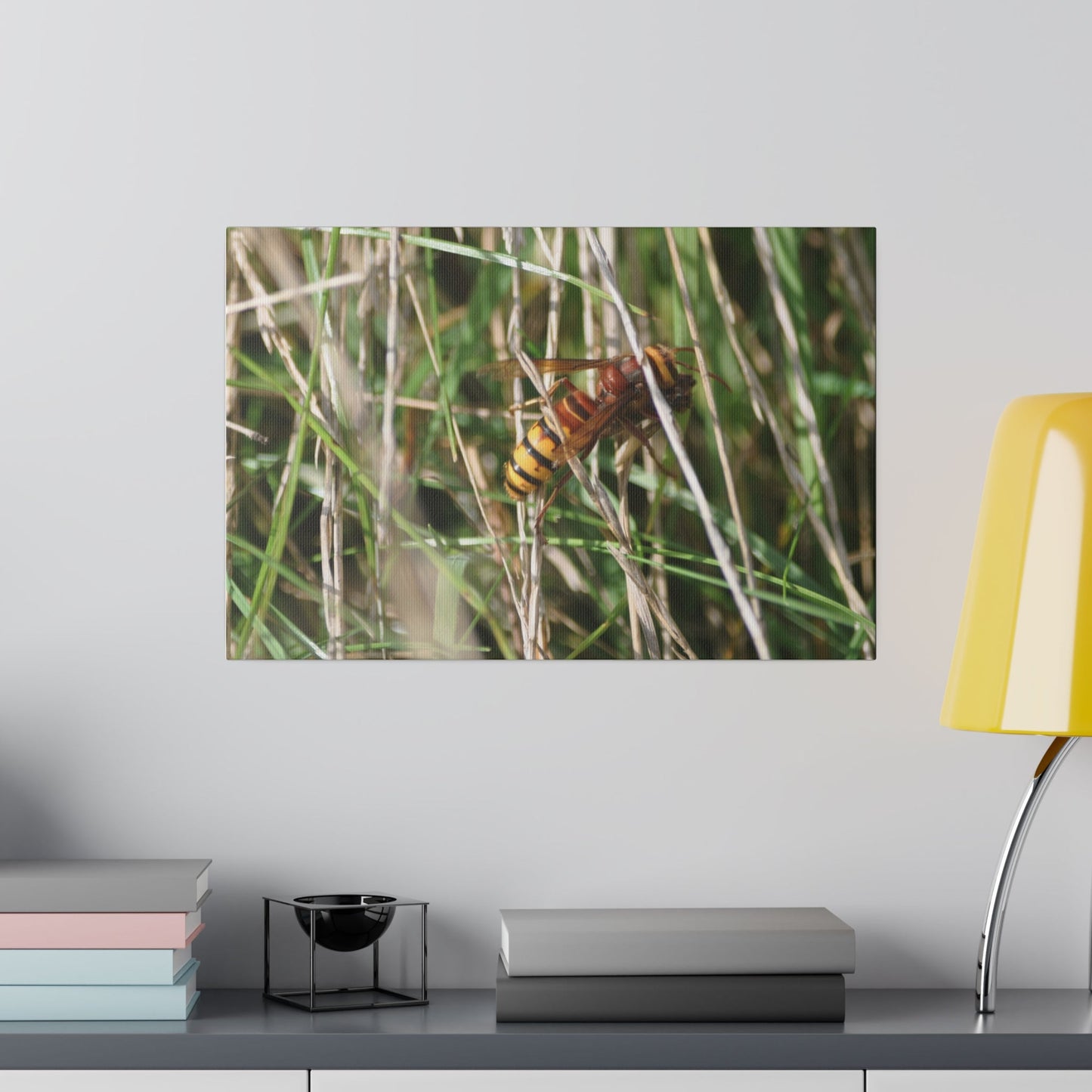 Hornet Eating Amongst Grass Canvas - The Trio Synergize Group