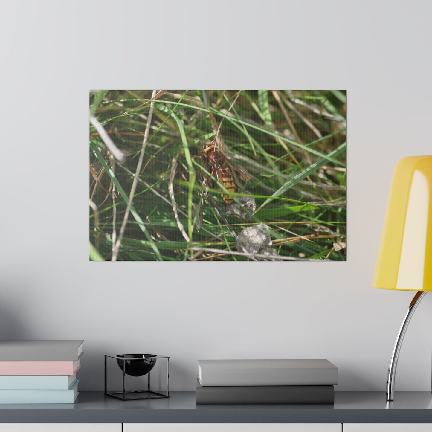 Hornet In The Grass Canvas Print - The Trio Synergize Group