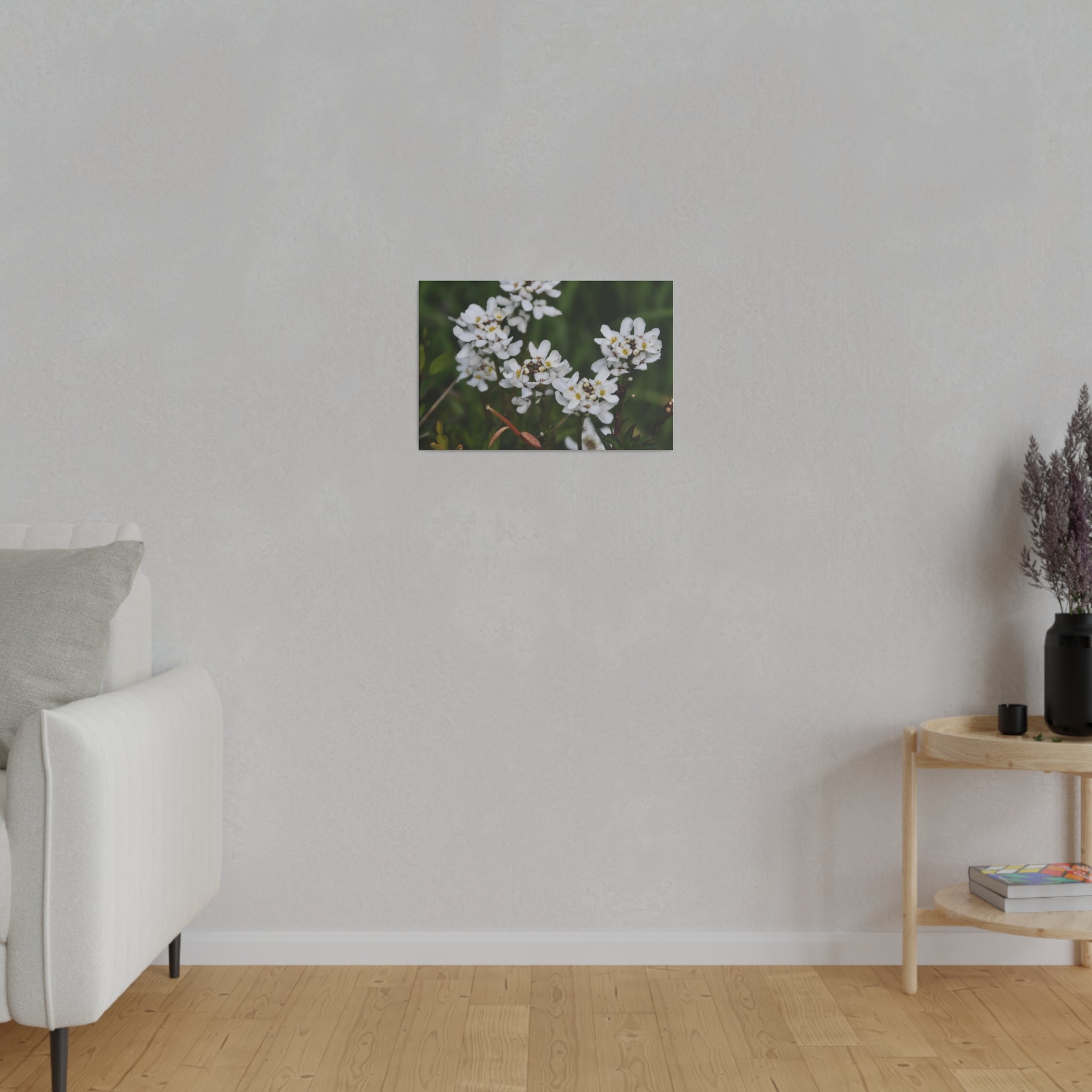 White Iberis Sempervirens Flowers, Blurred Background Canvas - The Trio Synergize Group