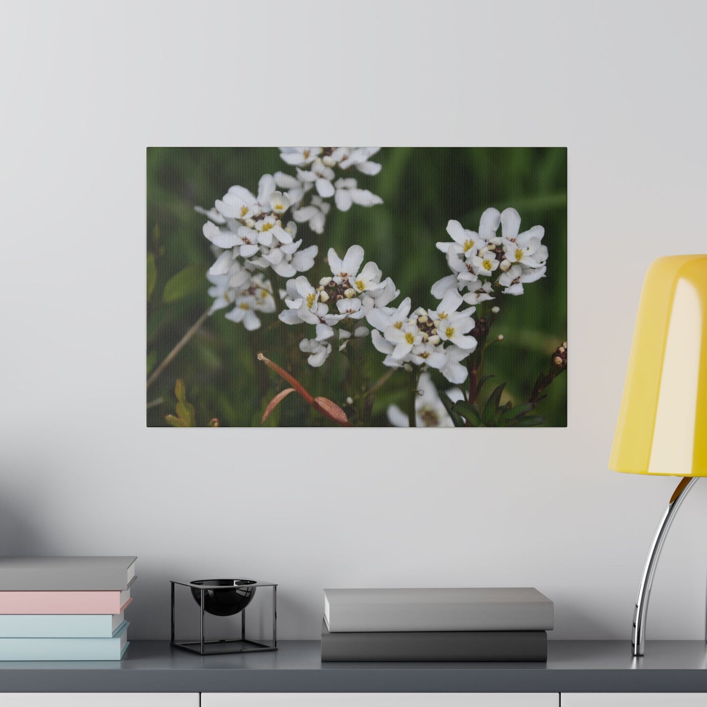 White Iberis Sempervirens Flowers, Blurred Background Canvas - The Trio Synergize Group