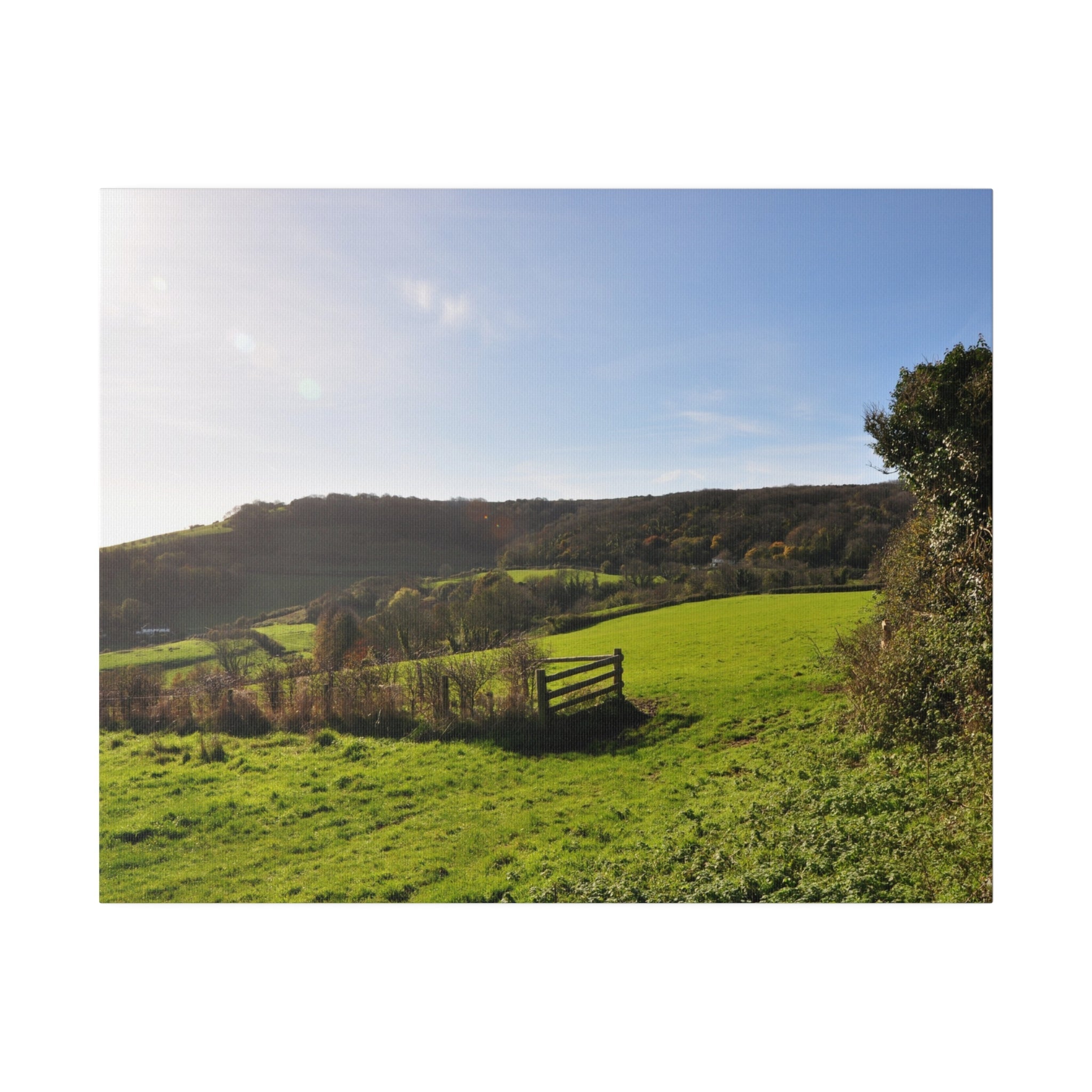 Isle of white Countryside, Grass And Trees Canvas - The Trio Synergize Group