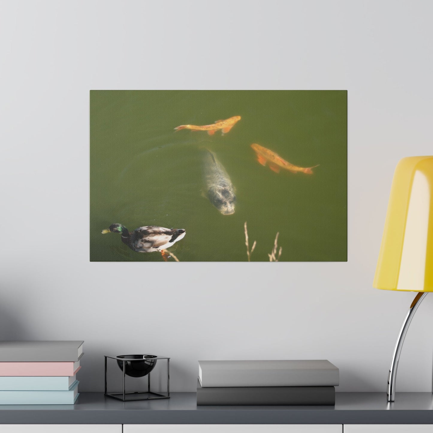 Male Duck And Fishes In A Pond Canvas - The Trio Synergize Group