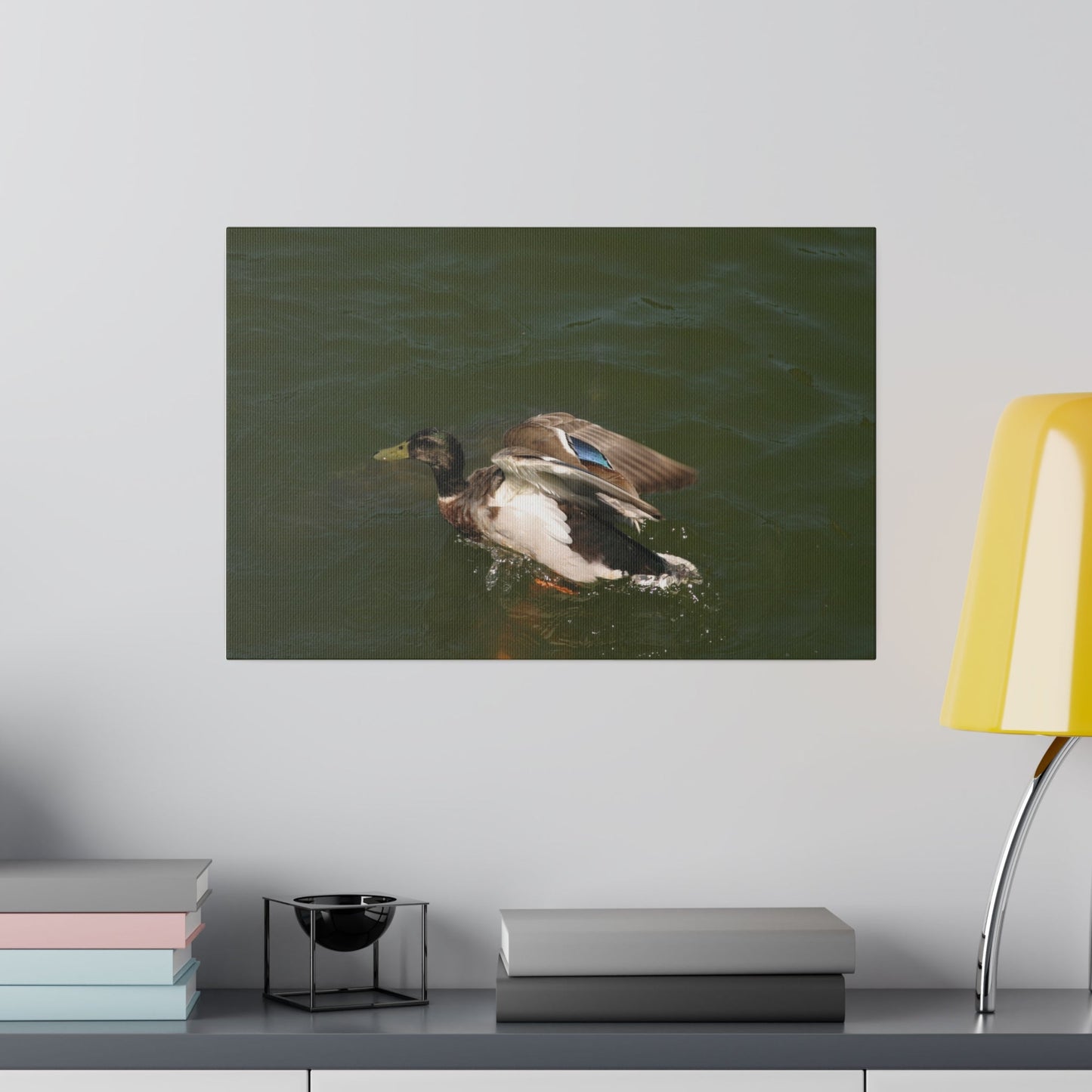 Single Male Duck Opening It's Wings On The Water Canvas - The Trio Synergize Group