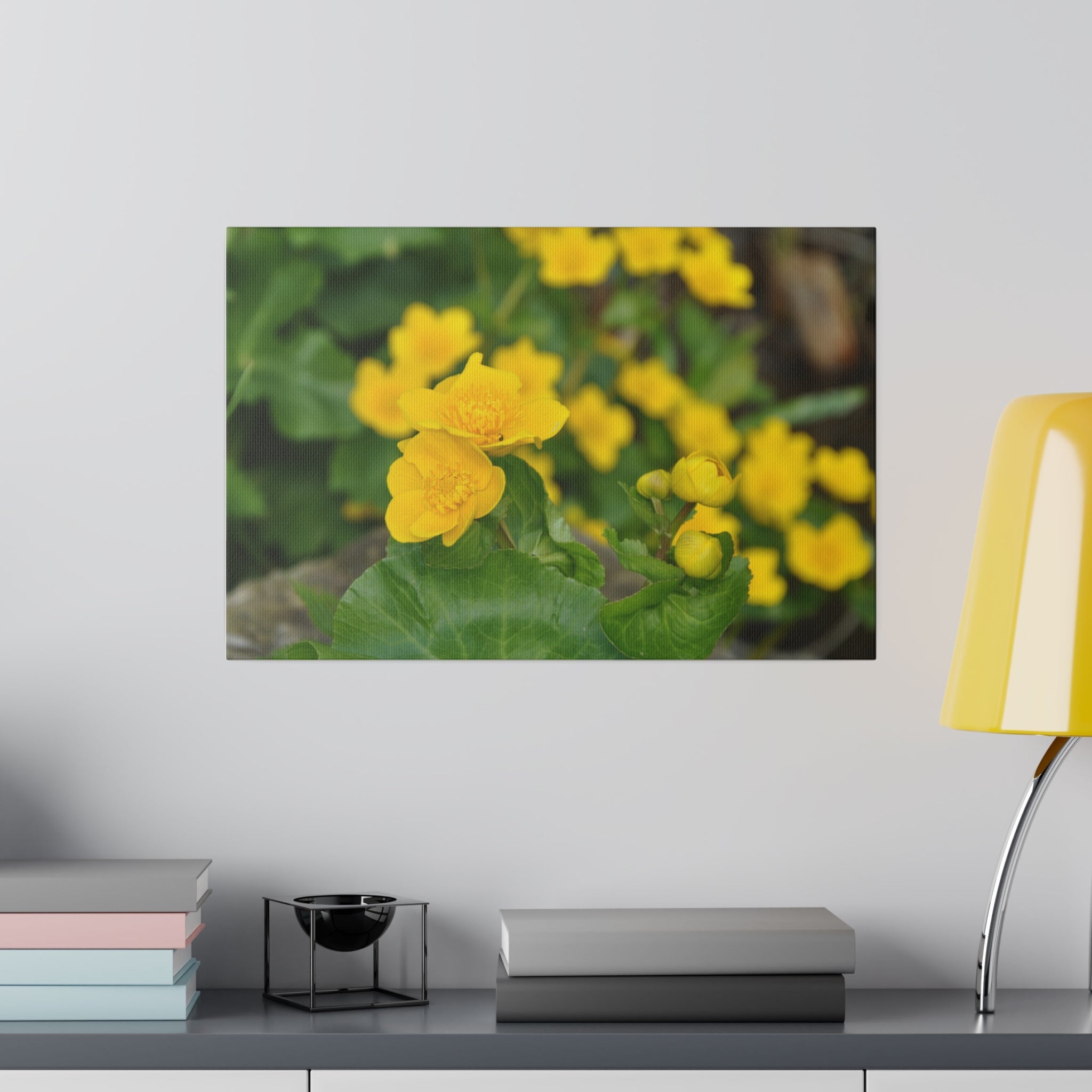 Cluster Of Marsh Marigolds With Blurred Background Canvas - The Trio Synergize Group