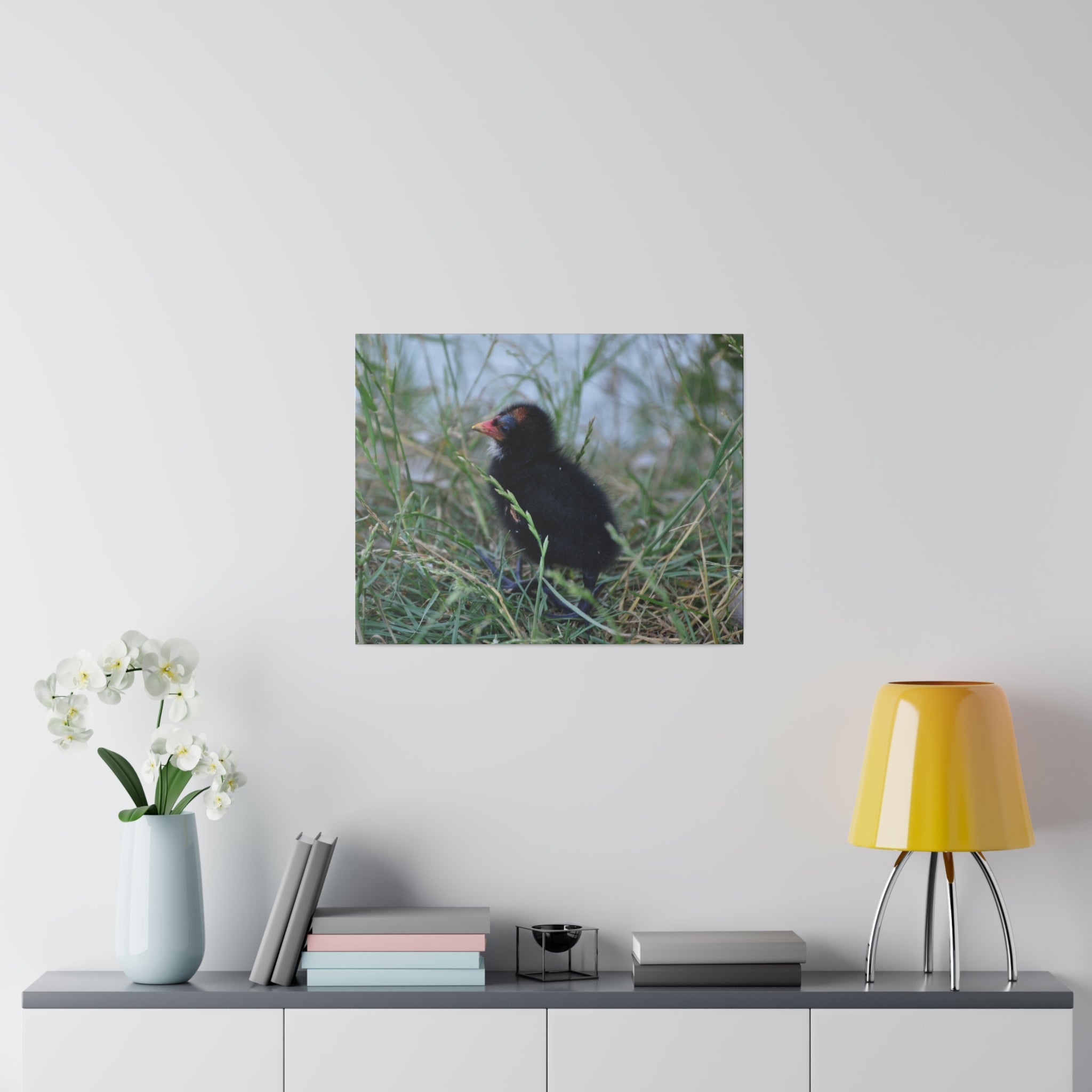 Moorhen Chick Hiding With Blurred Water Background Canvas - The Trio Synergize Group