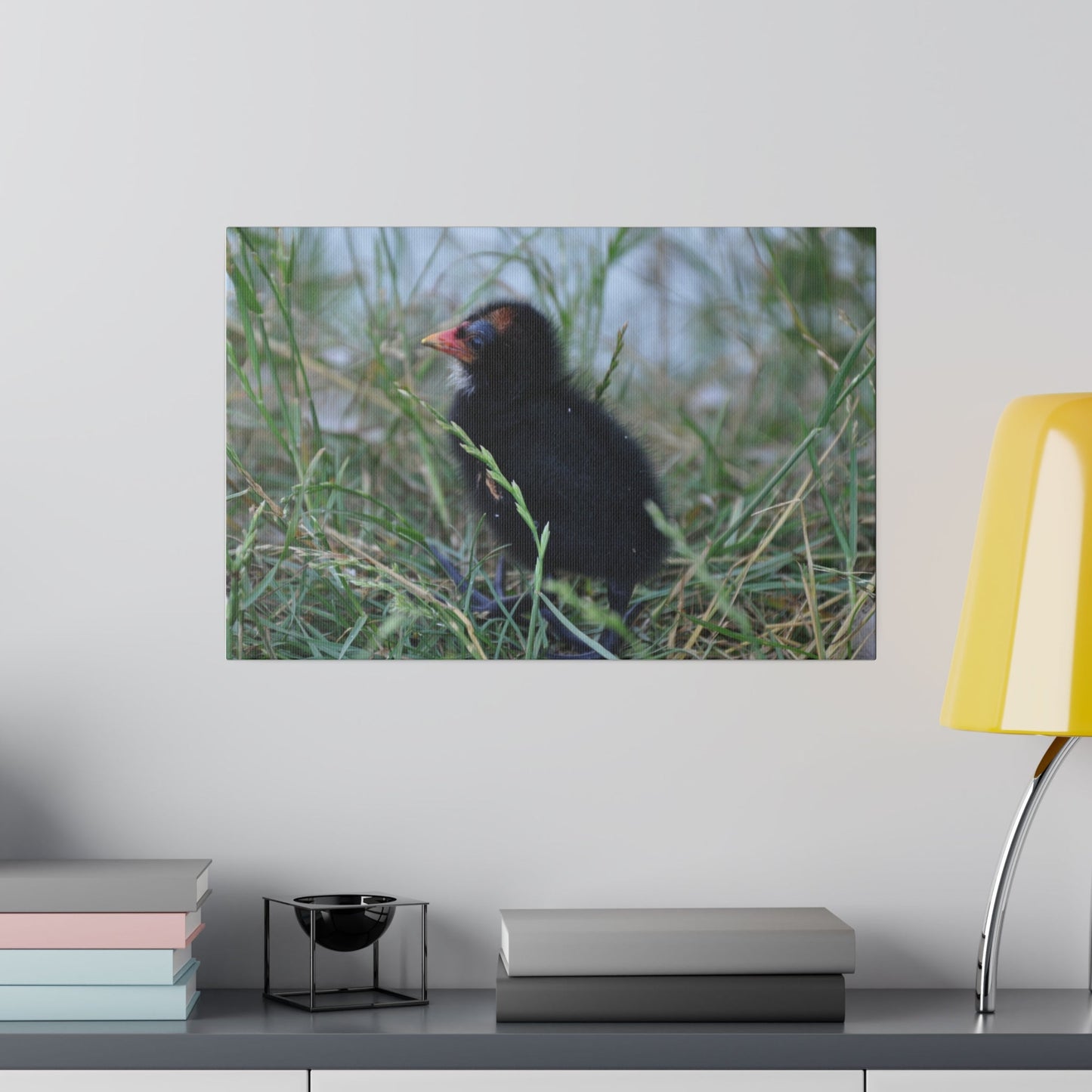 Moorhen Chick Hiding With Blurred Water Background Canvas - The Trio Synergize Group