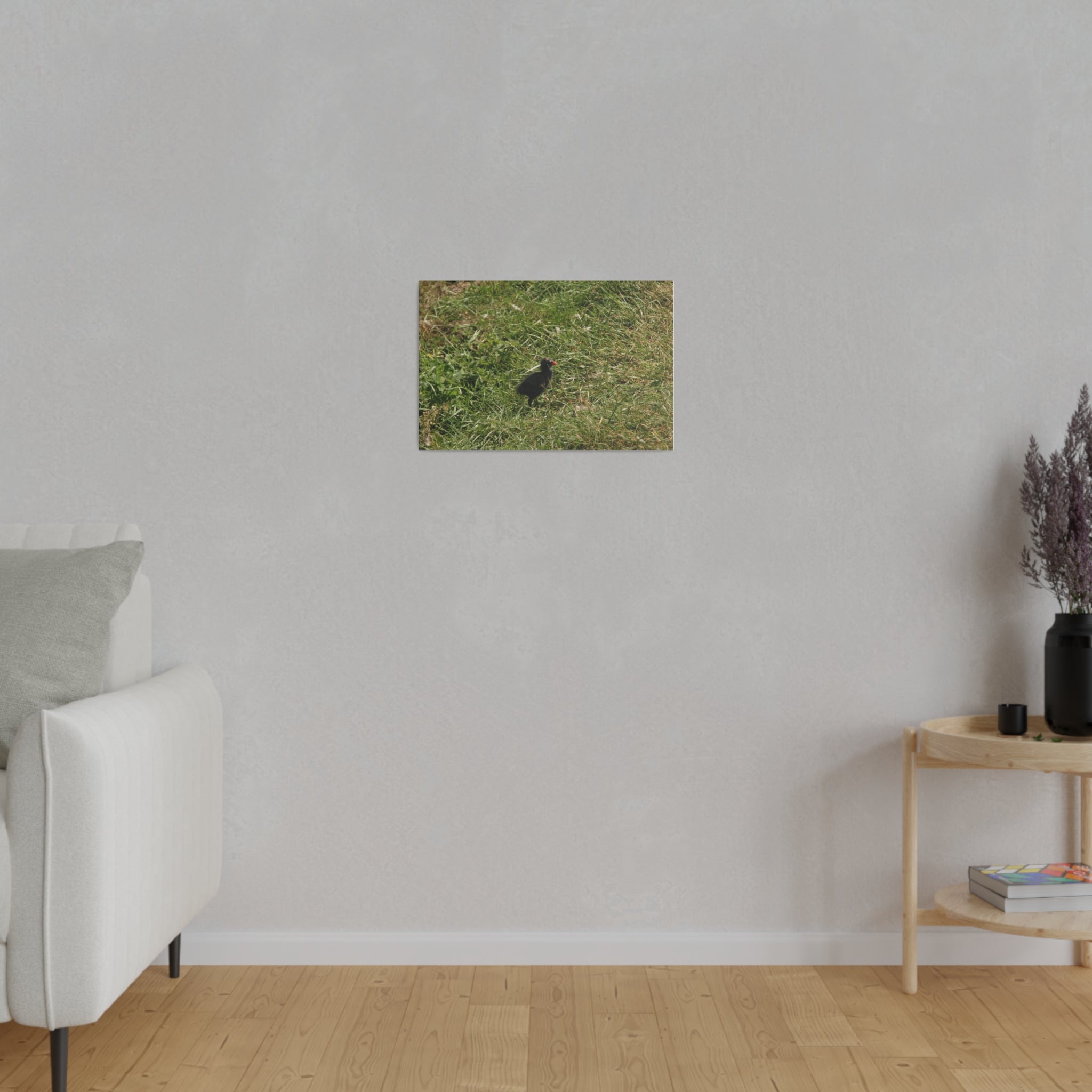 Single Moorhen Chick Canvas Print - The Trio Synergize Group