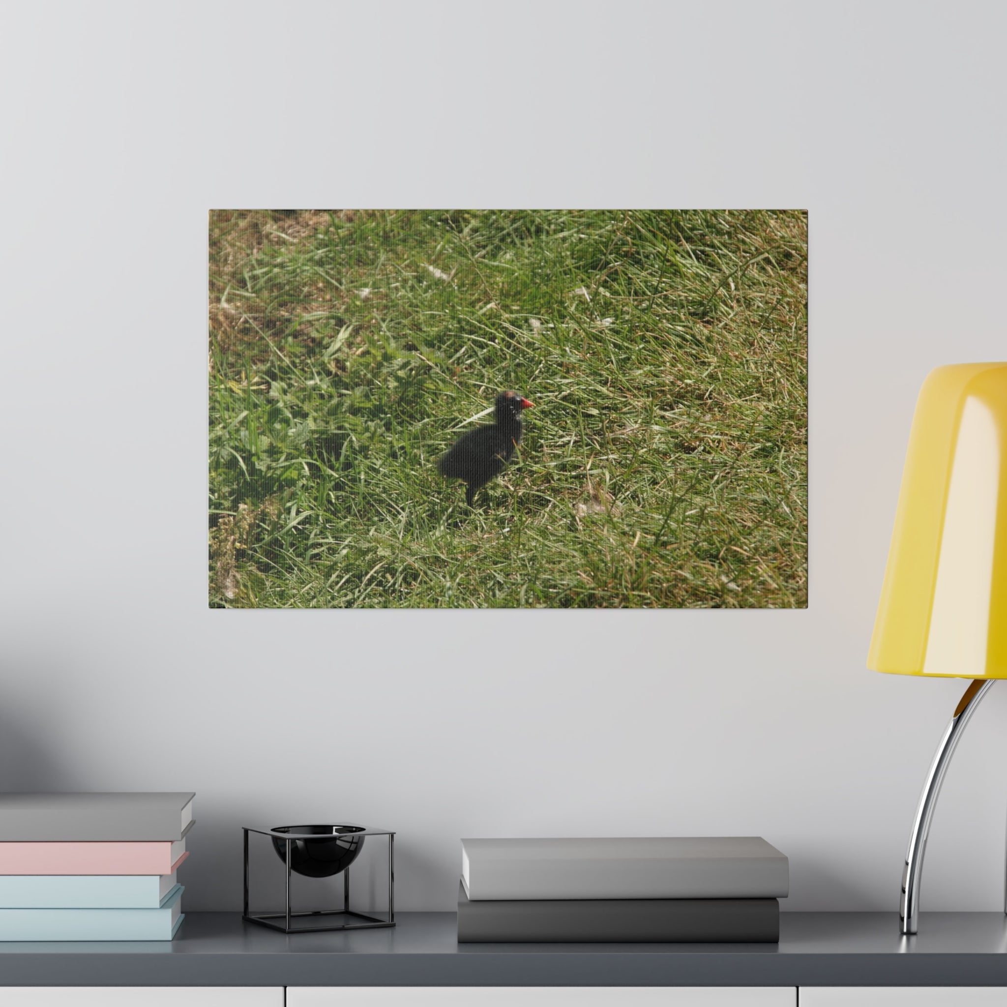 Single Moorhen Chick Canvas Print - The Trio Synergize Group